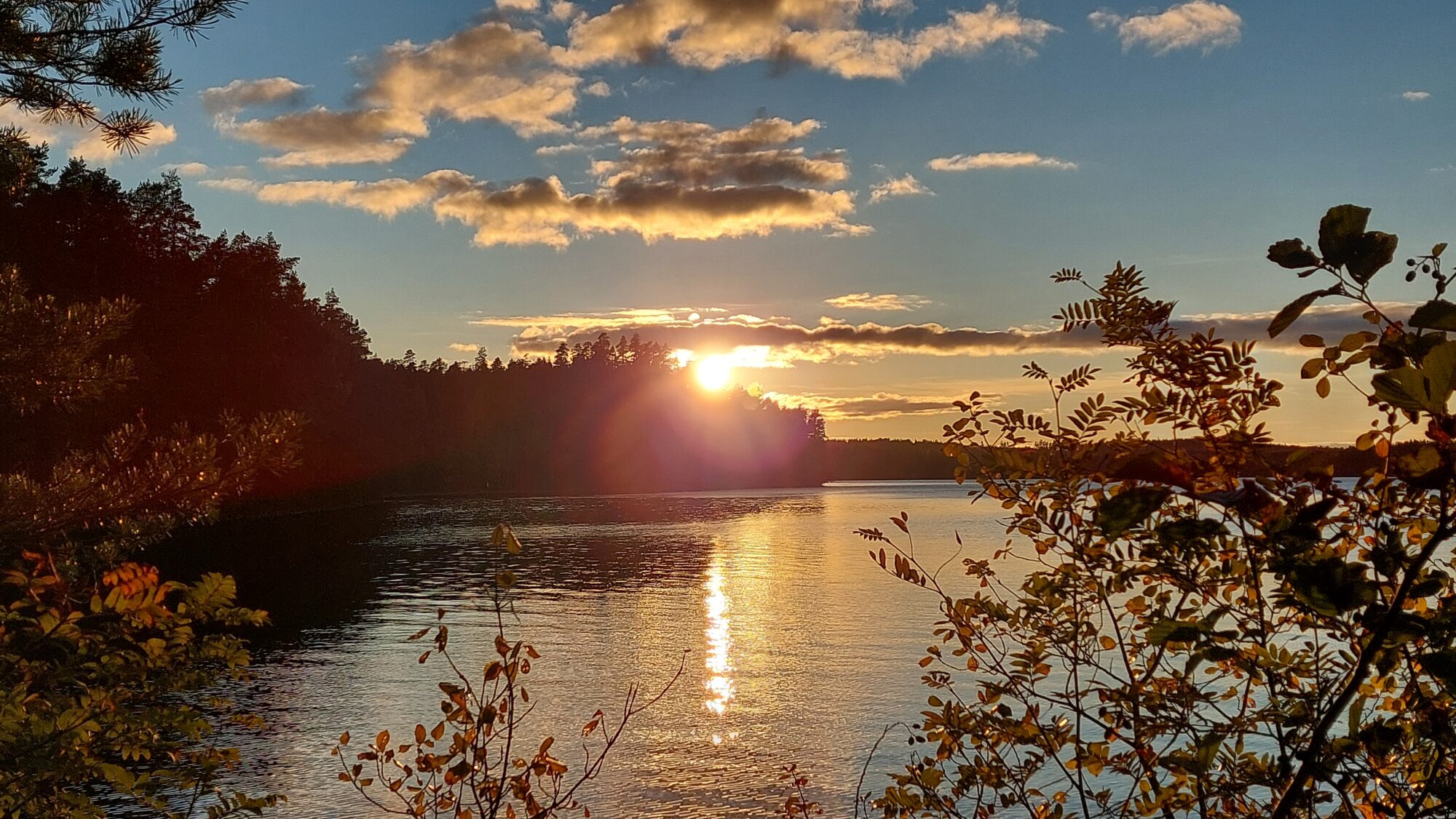 Valokuvaaja: Tarja Naukkarinen