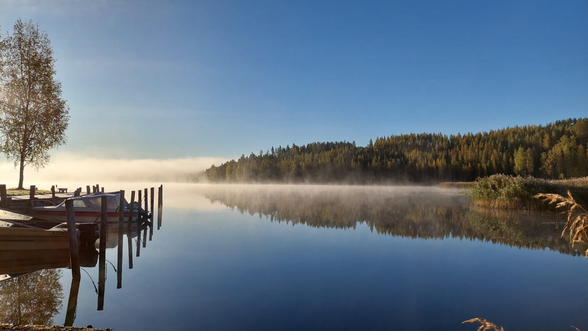 Valokuvaaja: Tarja Naukkarinen