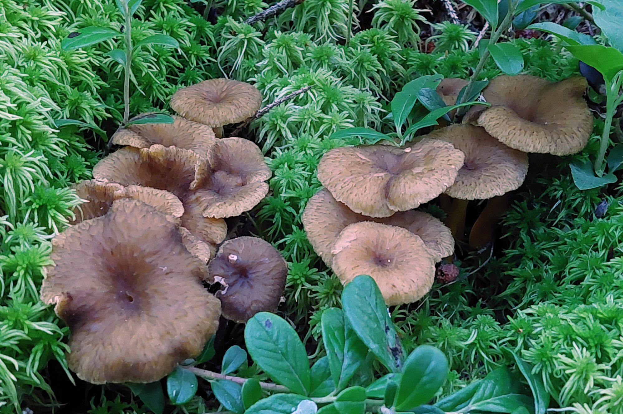 Valokuvaaja: Tarja Naukkarinen