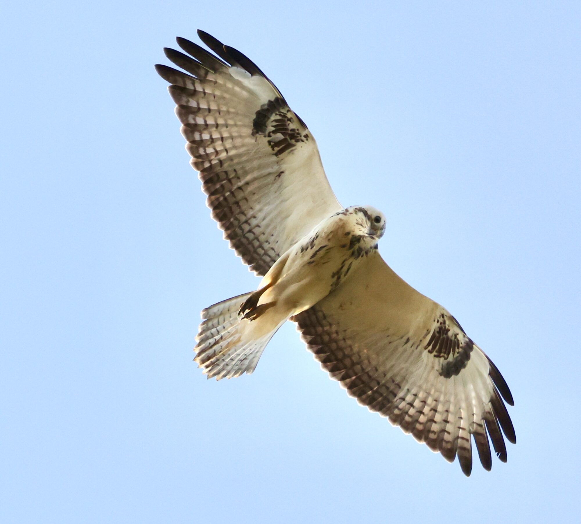 Valokuvaaja: Jukka Henriksson