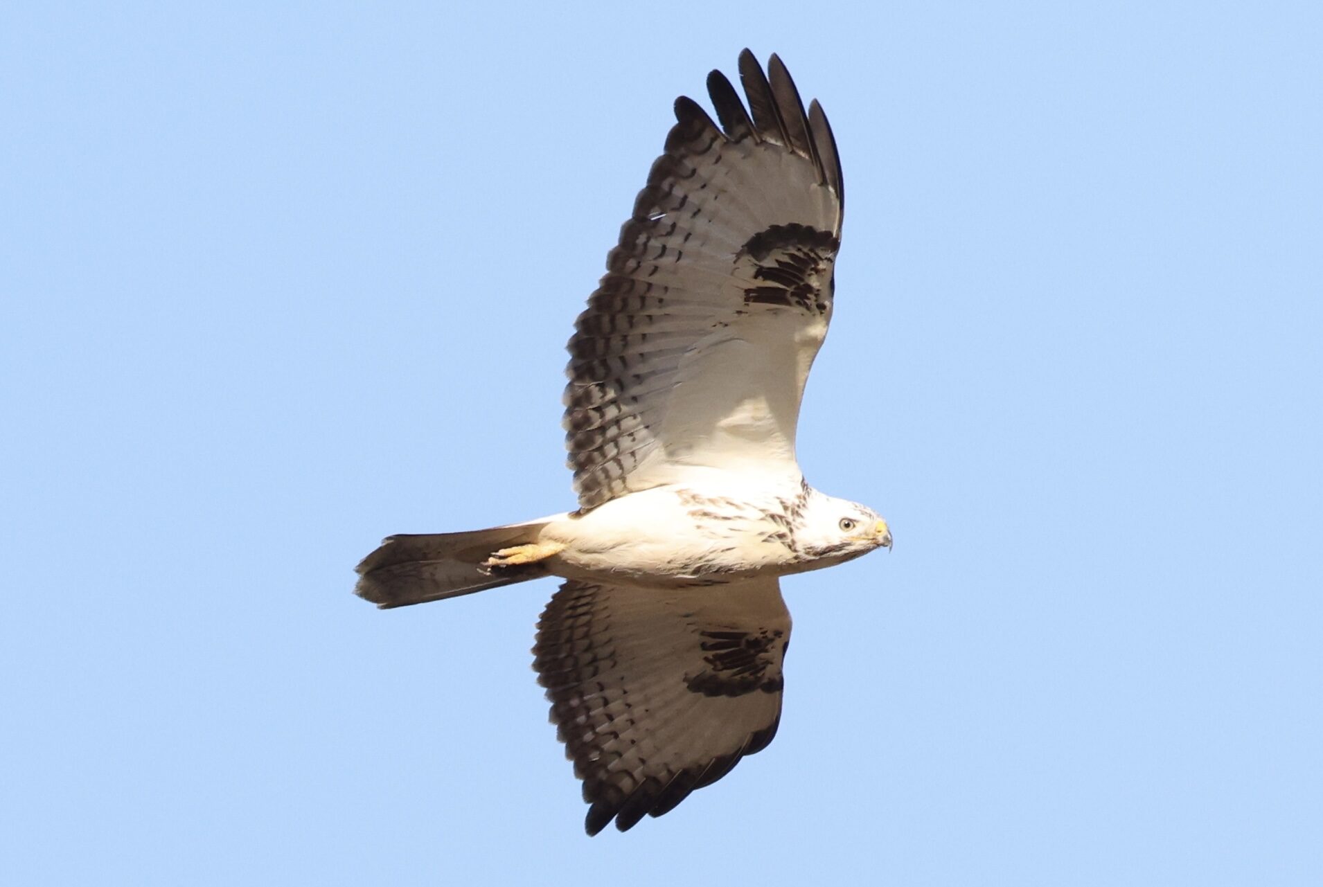 Valokuvaaja: Jukka Henriksson