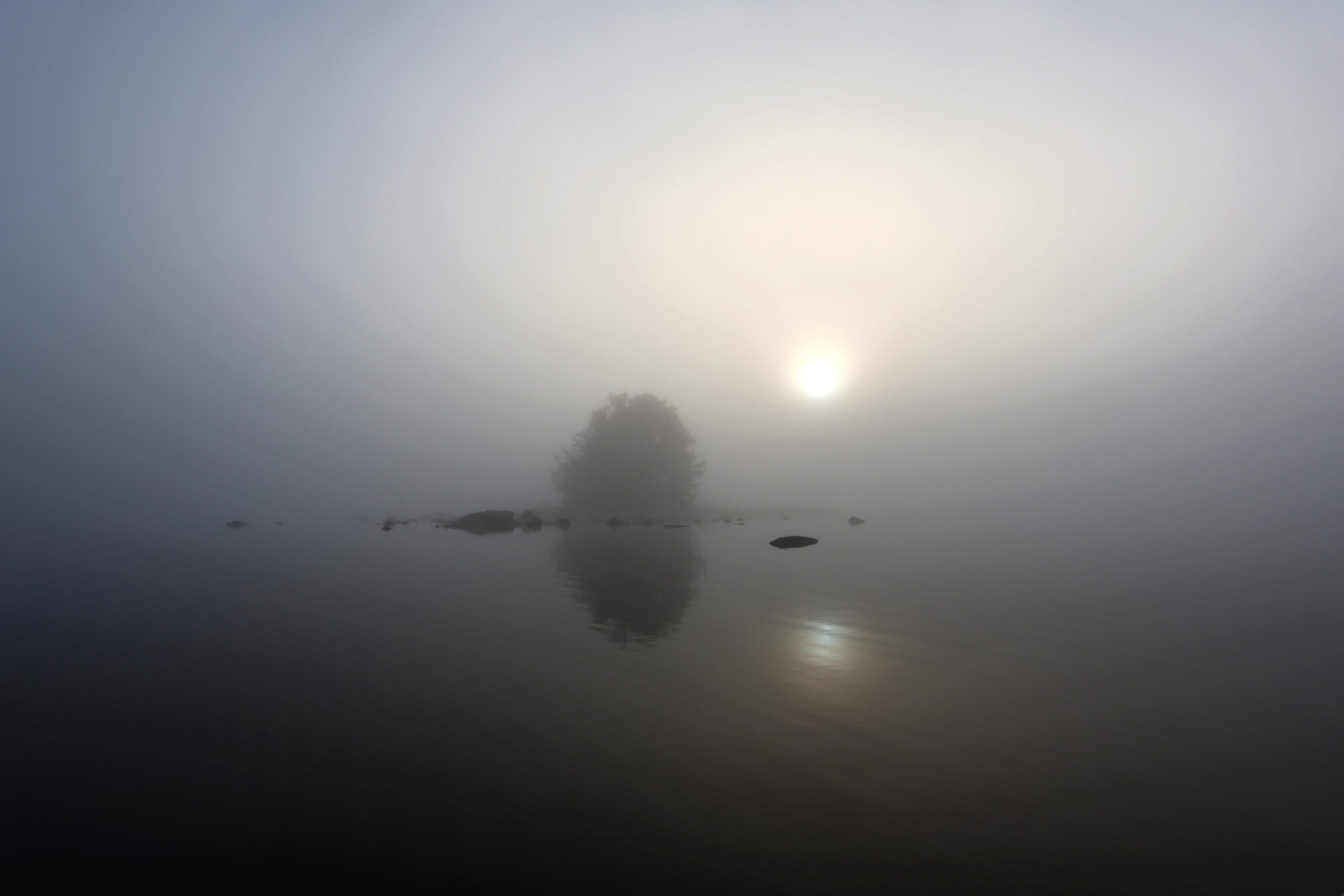 Valokuvaaja: Irma Kortekallio