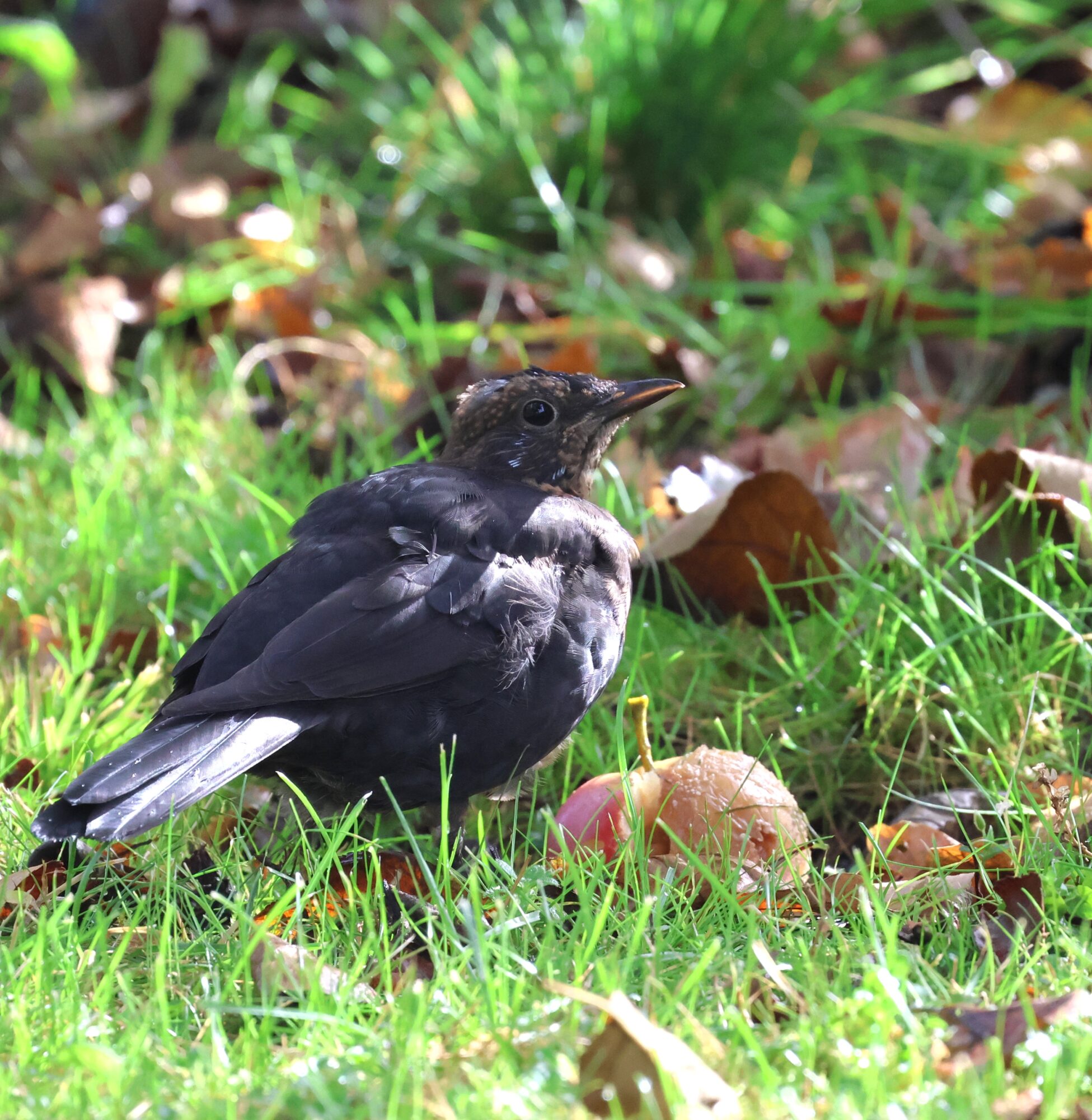 Valokuvaaja: Hanna Rönty