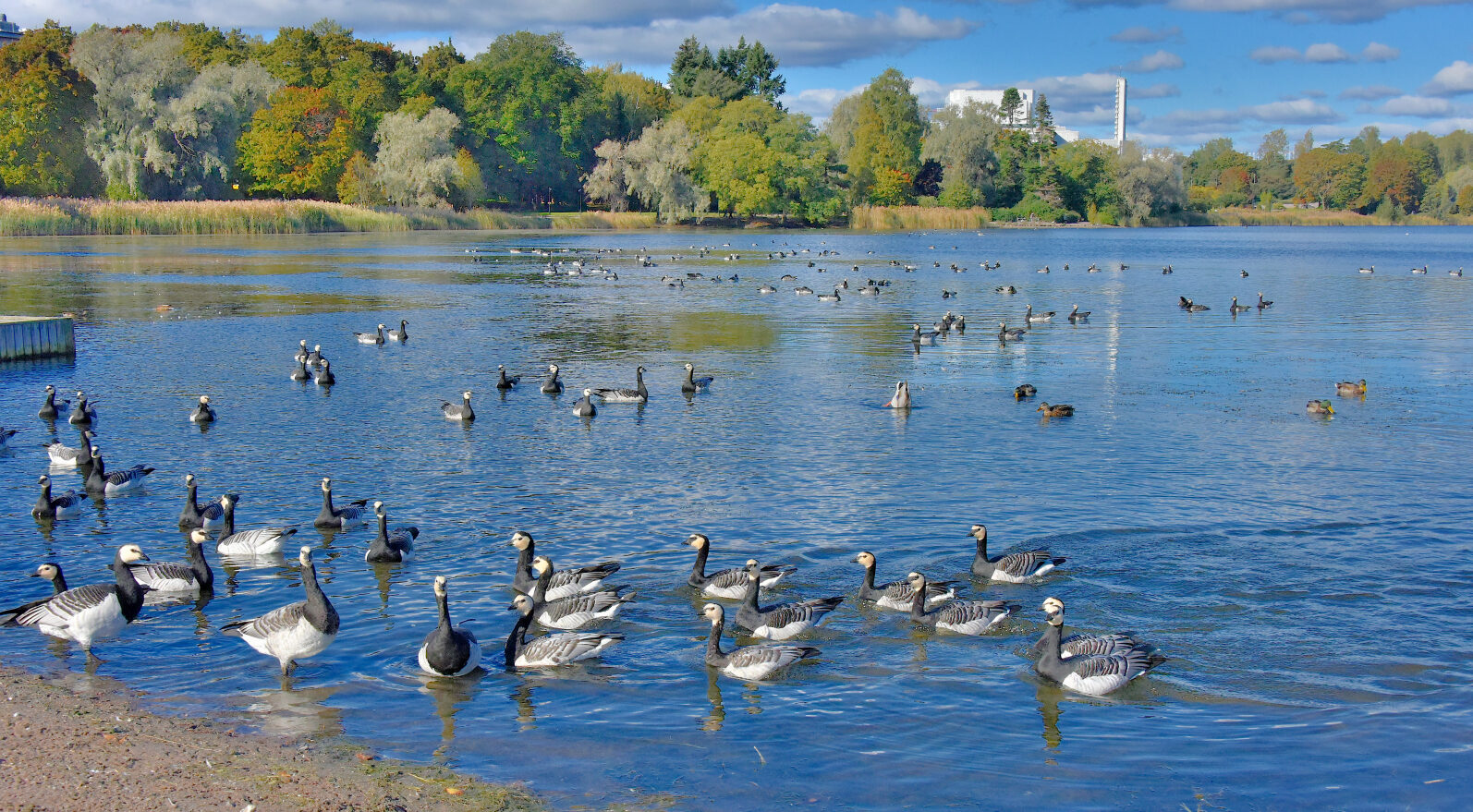Valokuvaaja: Reijo Juurinen