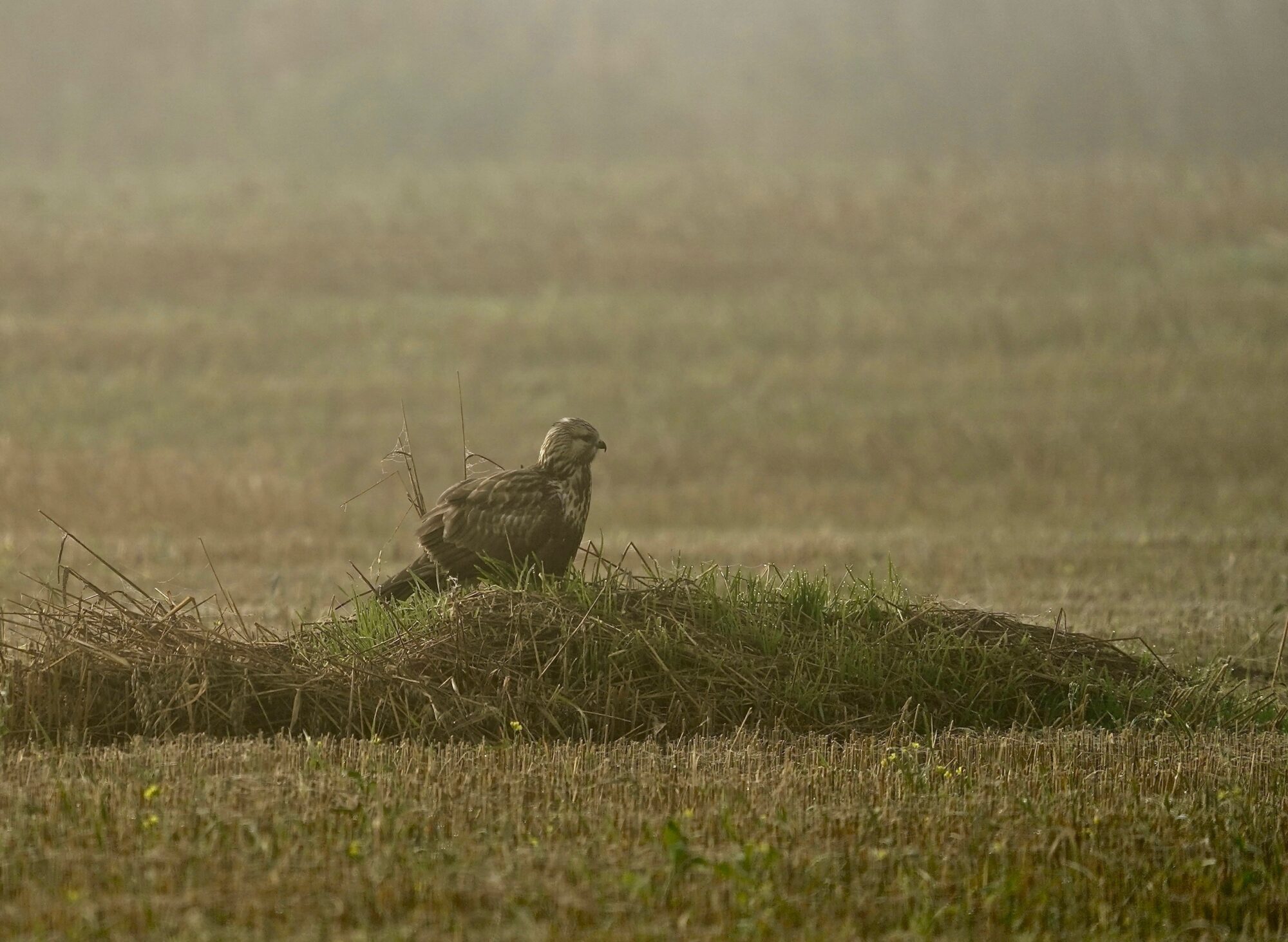 Valokuvaaja: Markku Ranta-Eilola
