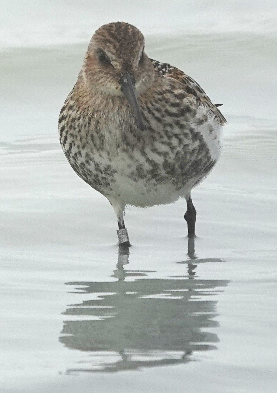 Valokuvaaja: Kaarina Heiskanen