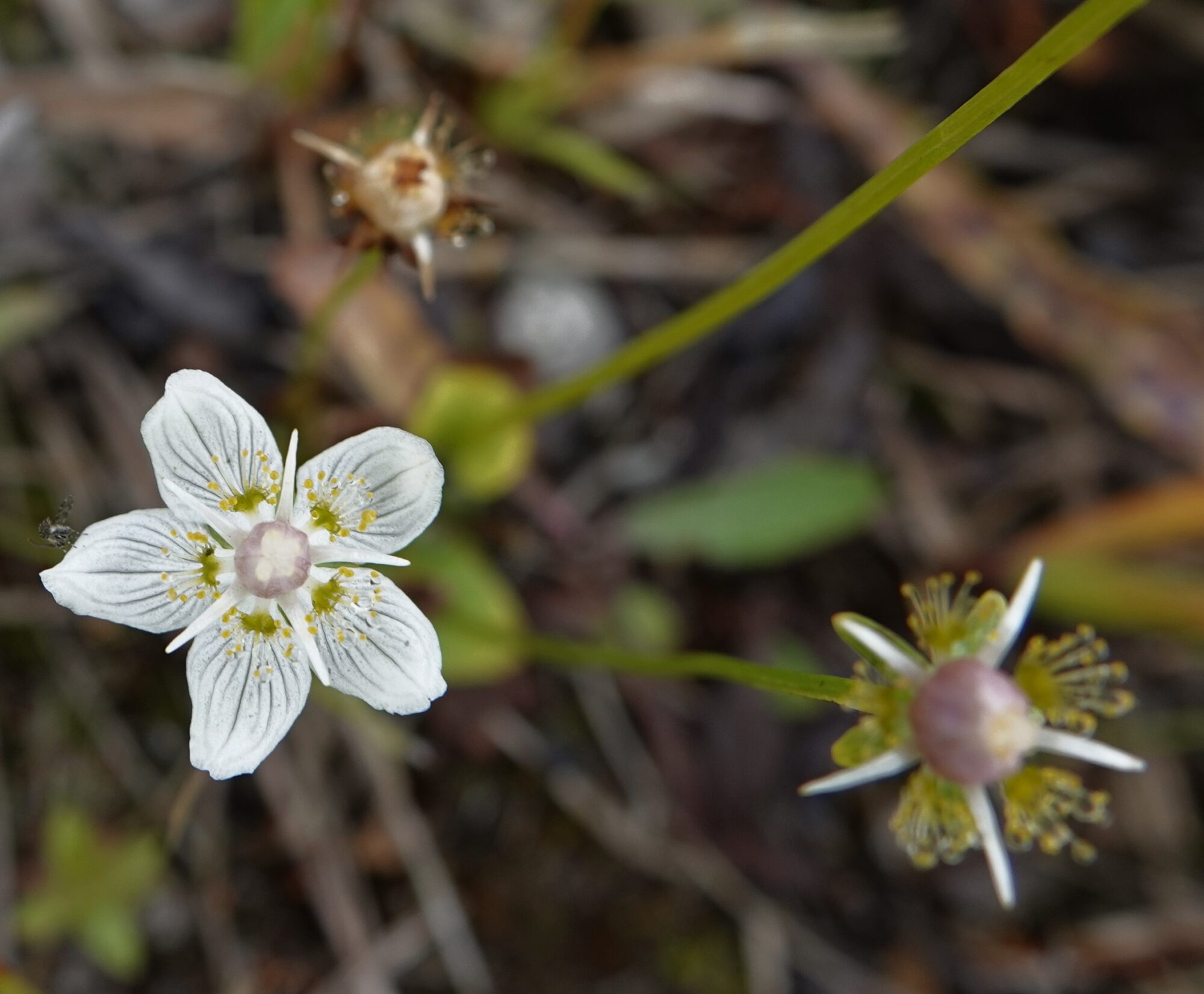 Valokuvaaja: Kaarina Heiskanen