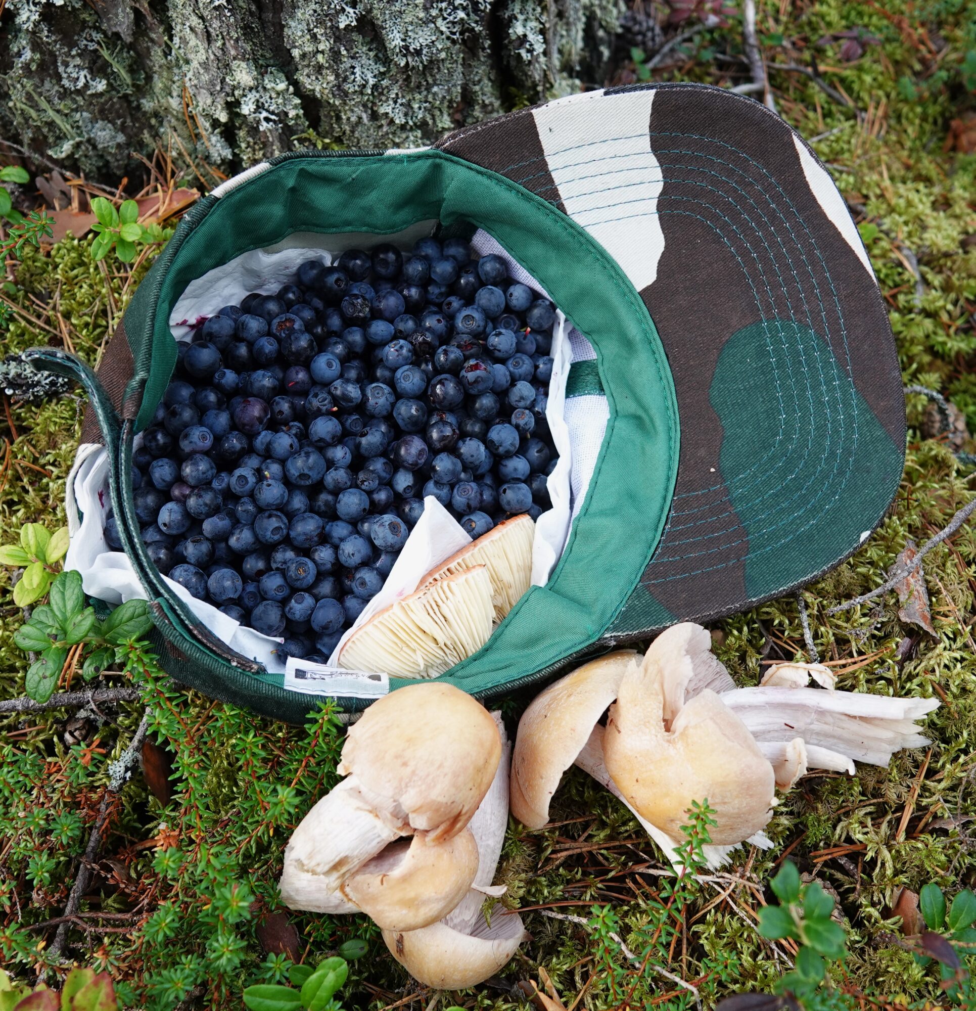 Valokuvaaja: Kaarina Heiskanen