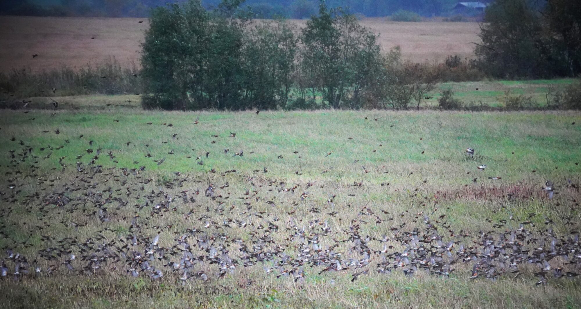 Valokuvaaja: Kaarina Heiskanen