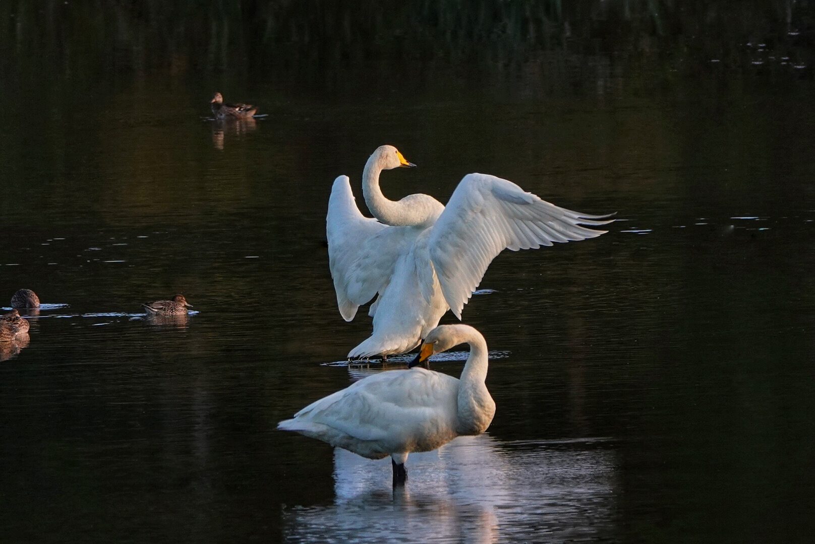 Valokuvaaja: Kaarina Jalo Valokuvaaja: Kaarina Jalo