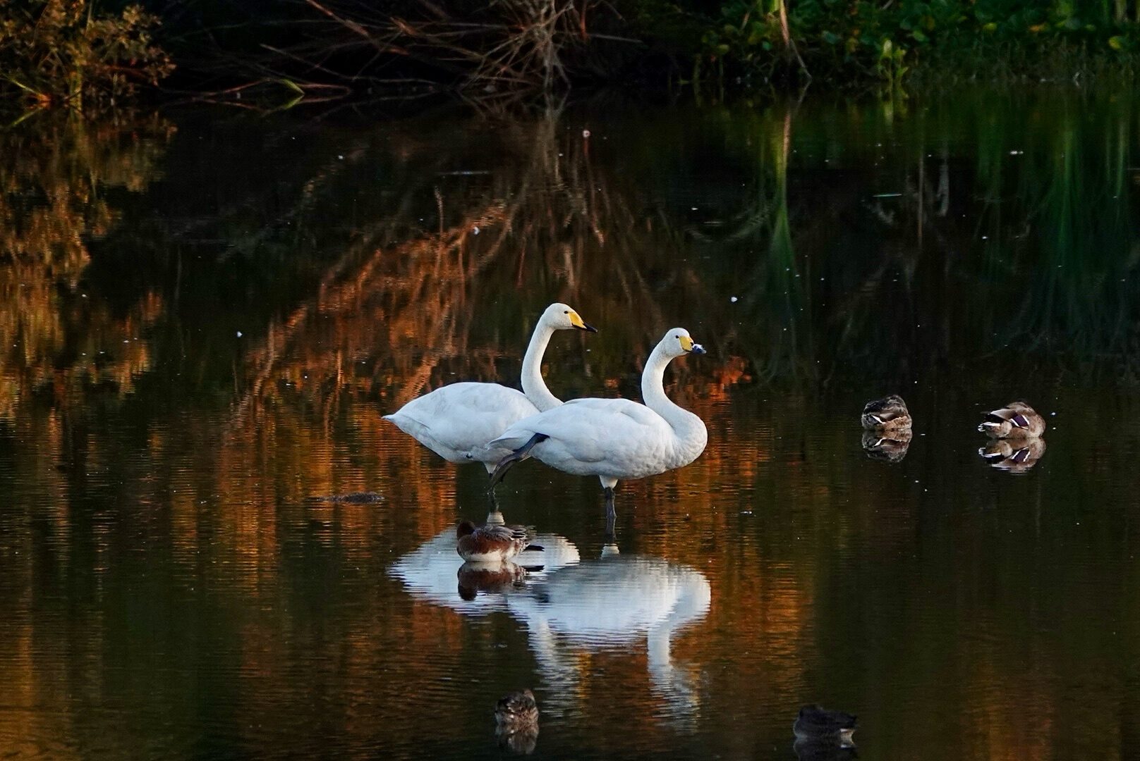 Valokuvaaja: Kaarina Jalo Valokuvaaja: Kaarina Jalo