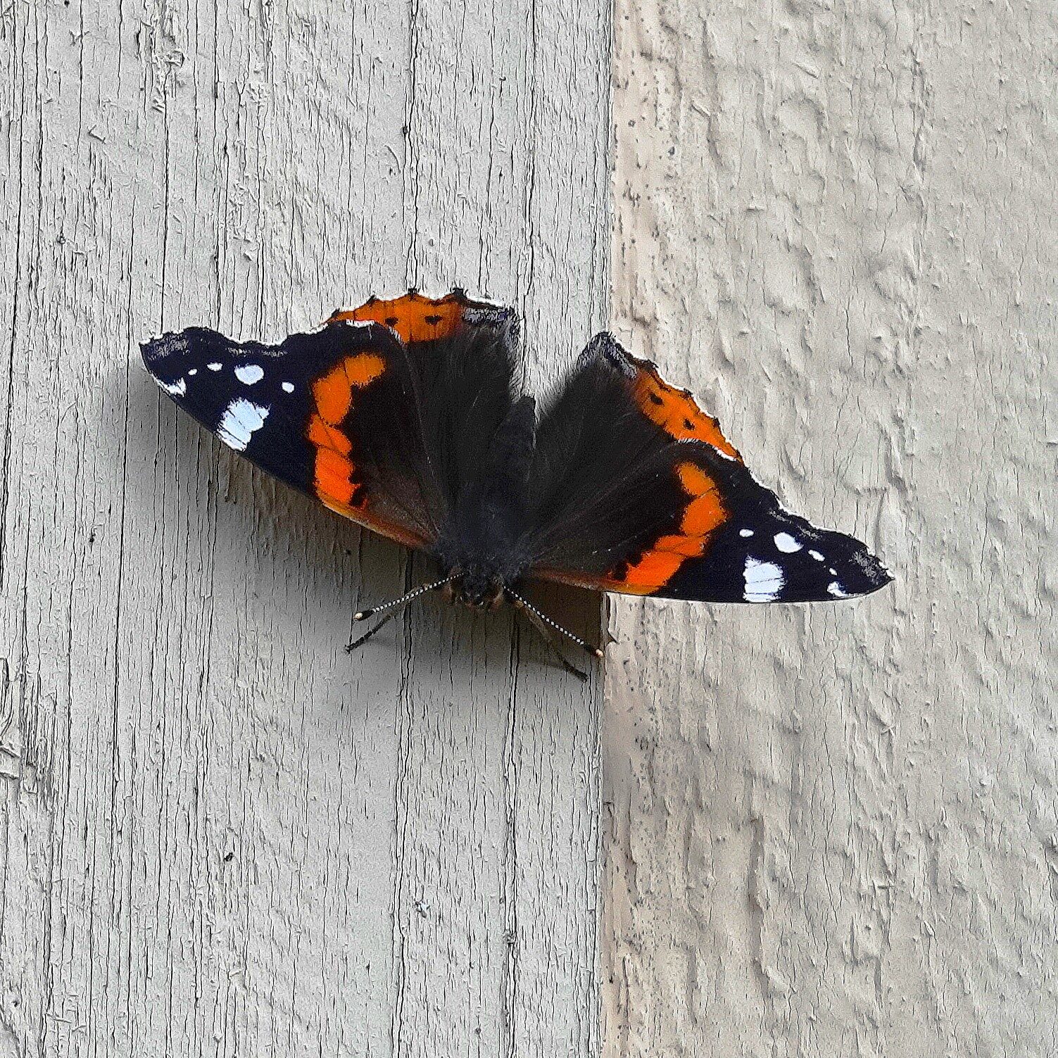 Valokuvaaja: Raija Oksanen