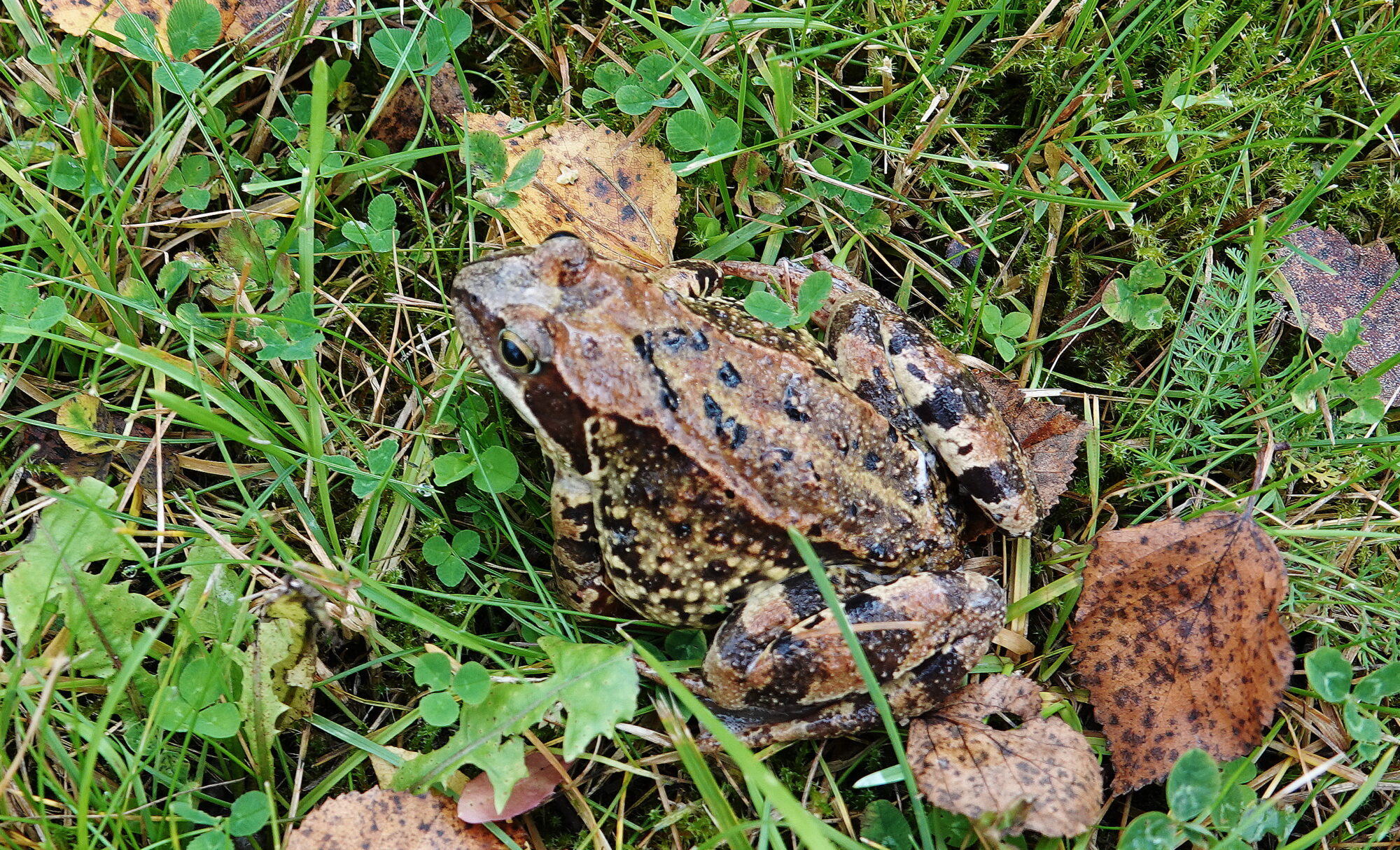 Valokuvaaja: Raija Oksanen