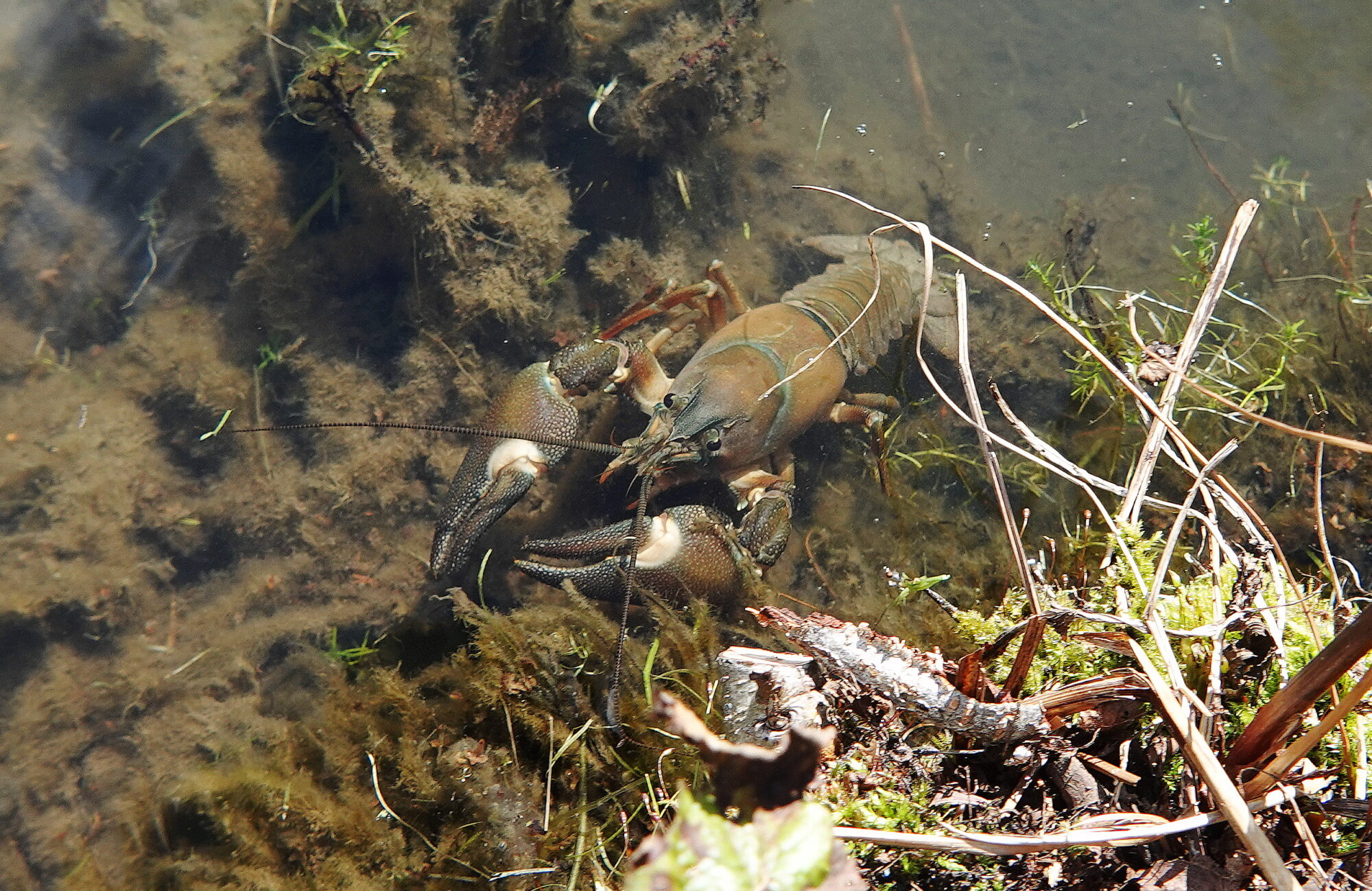 Valokuvaaja: Raija Oksanen