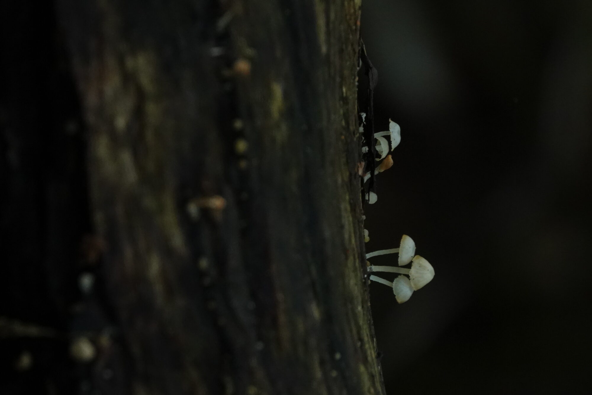 Valokuvaaja: Jenna Pitkänen Valokuvaaja: Jenna Pitkänen