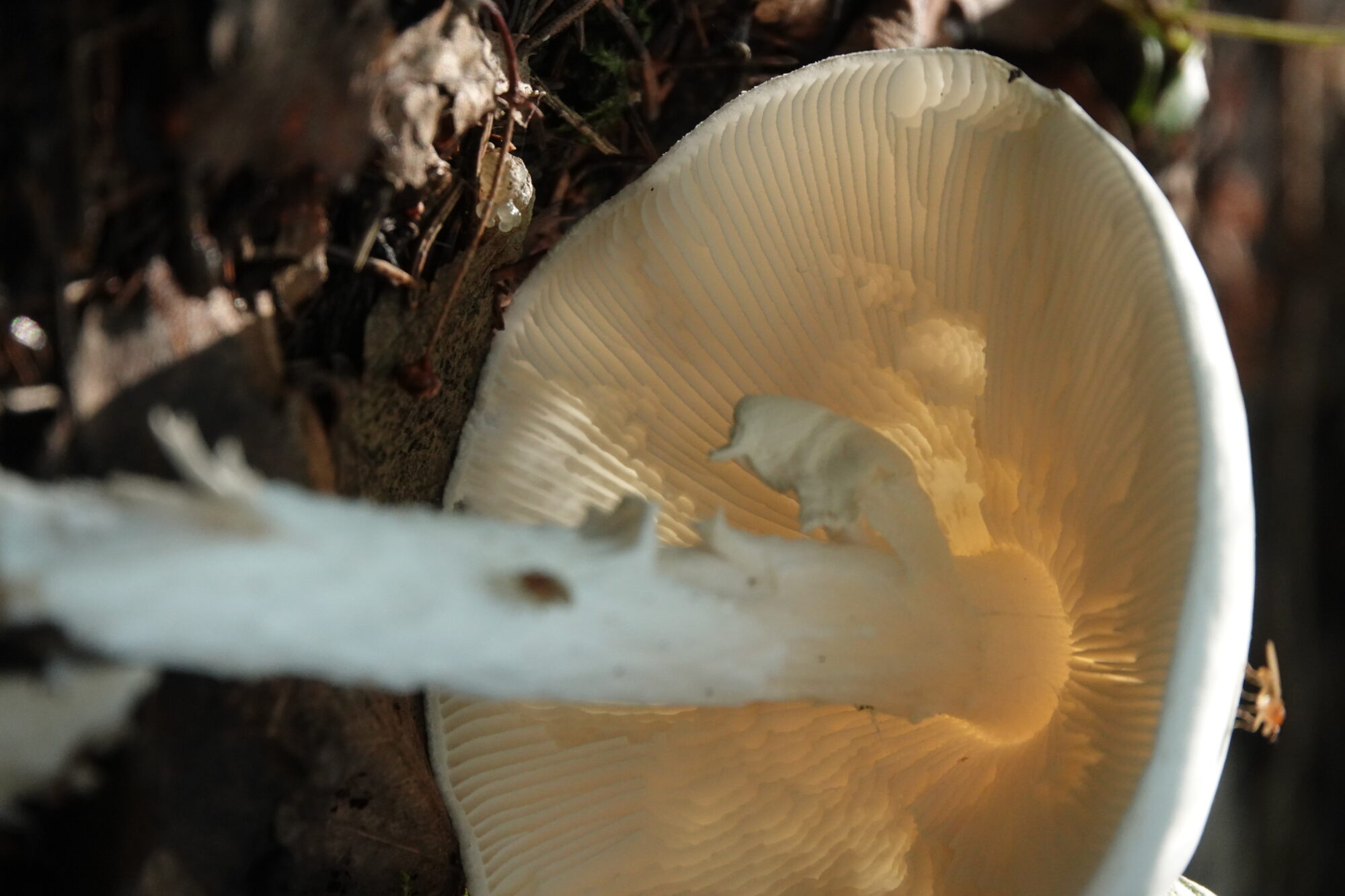 Valokuvaaja: Jenna Pitkänen