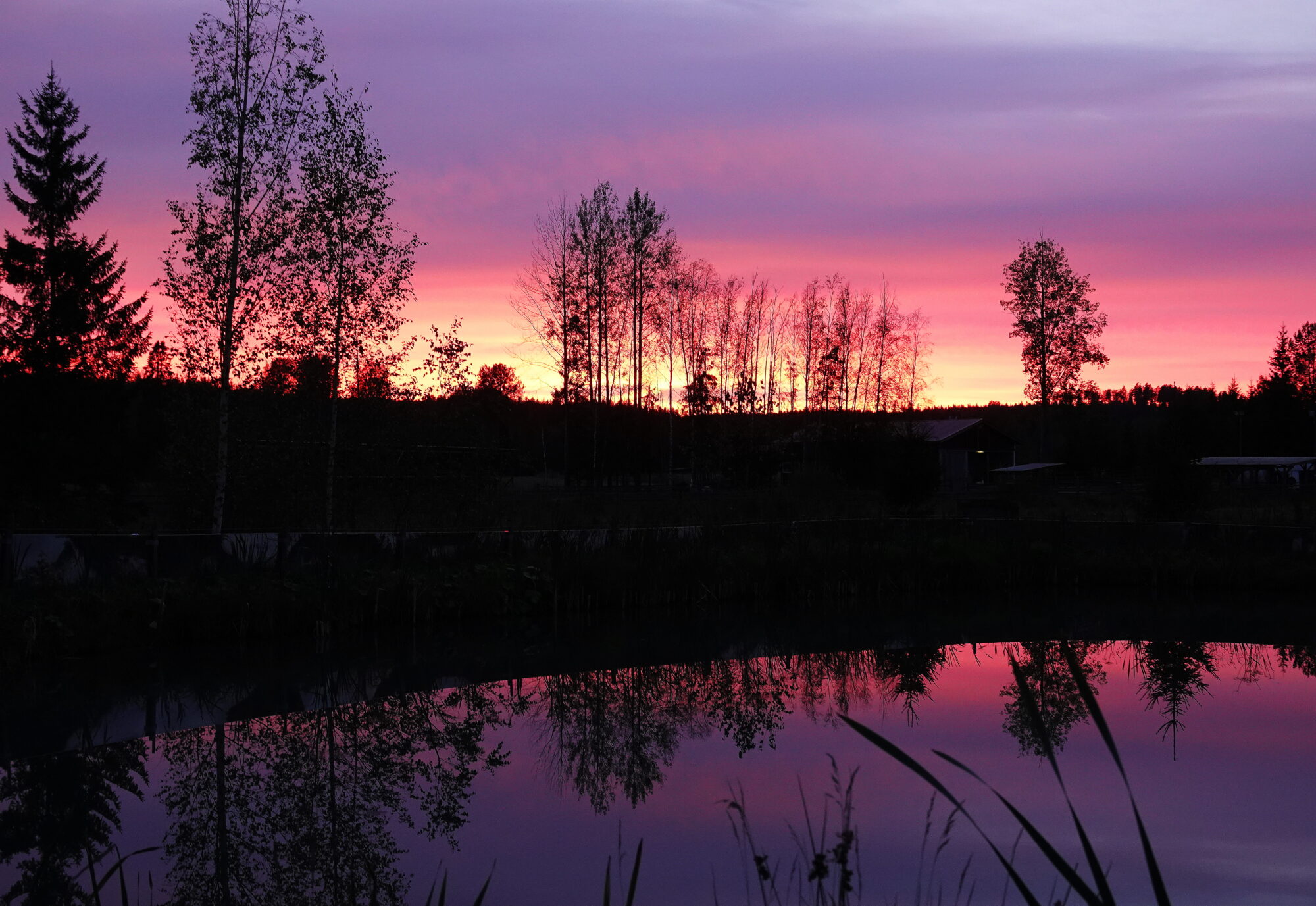 Valokuvaaja: Raija Oksanen