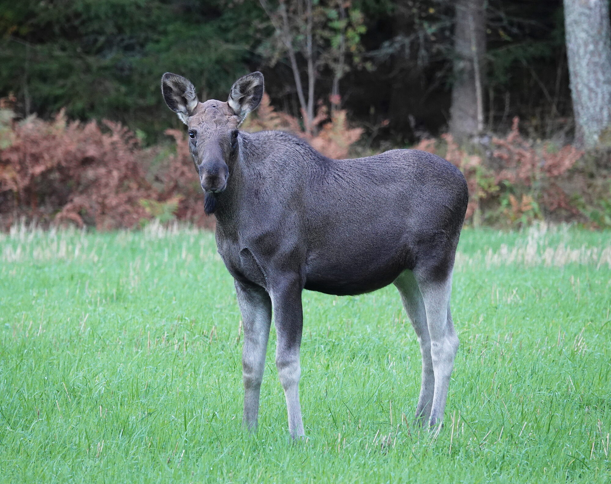 Valokuvaaja: Raija Oksanen