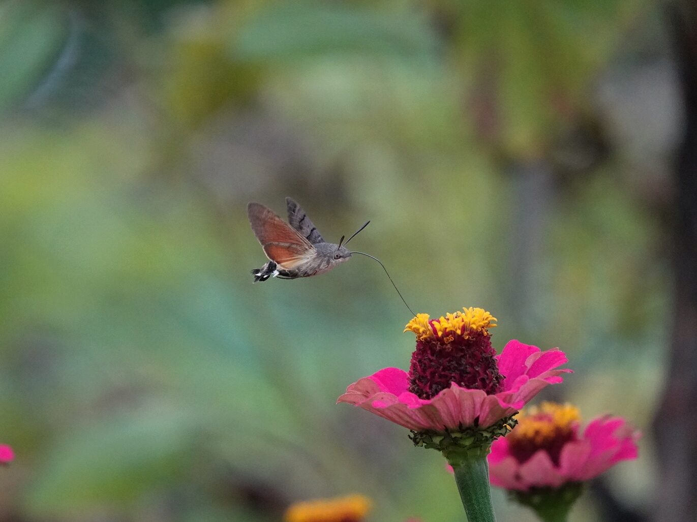 Valokuvaaja: Kaarina Jalo