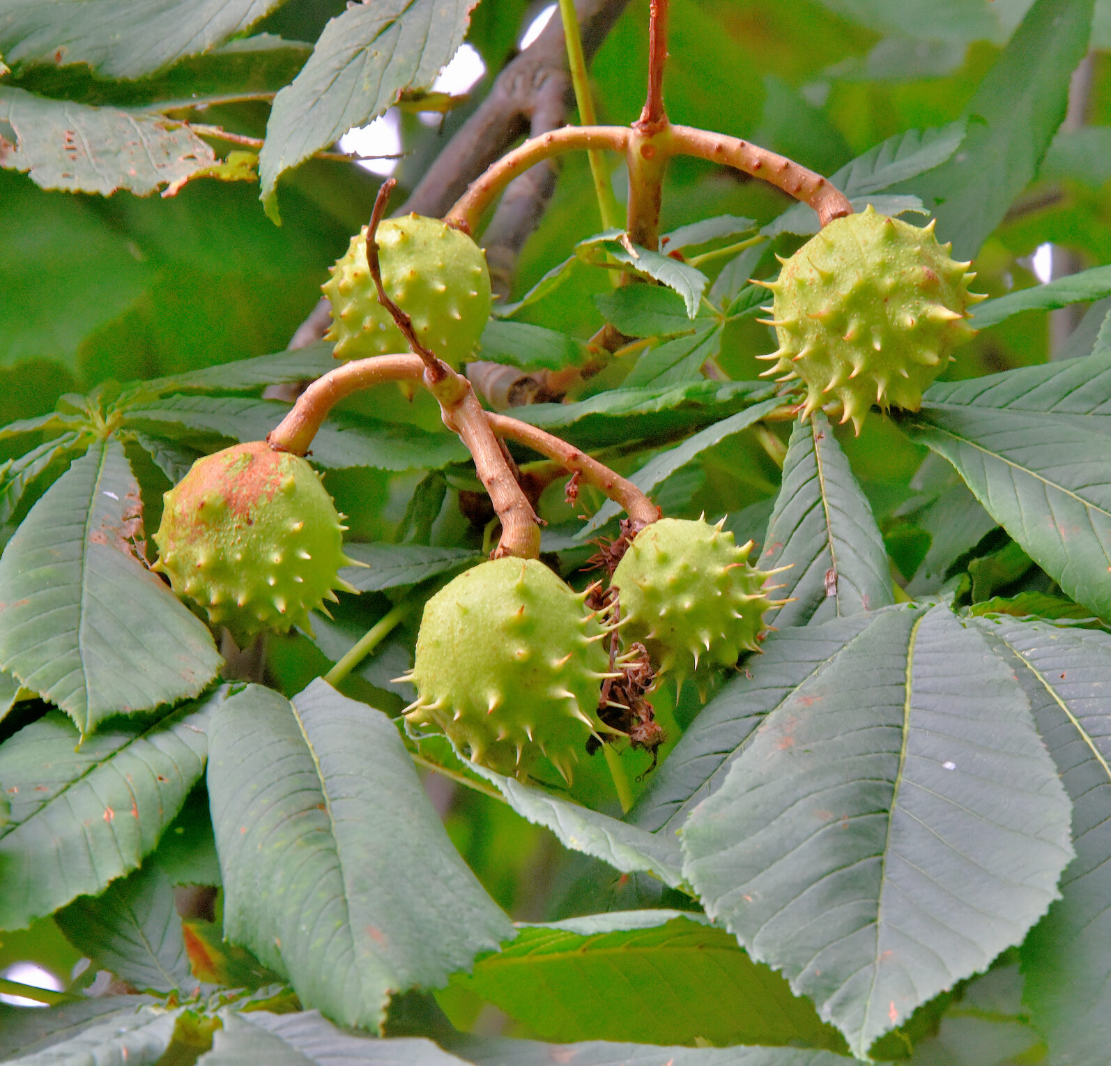 Valokuvaaja: Reijo Juurinen