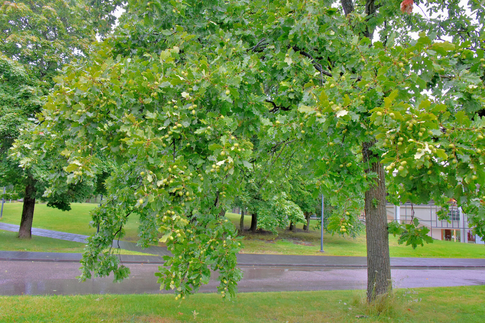 Valokuvaaja: Reijo Juurinen