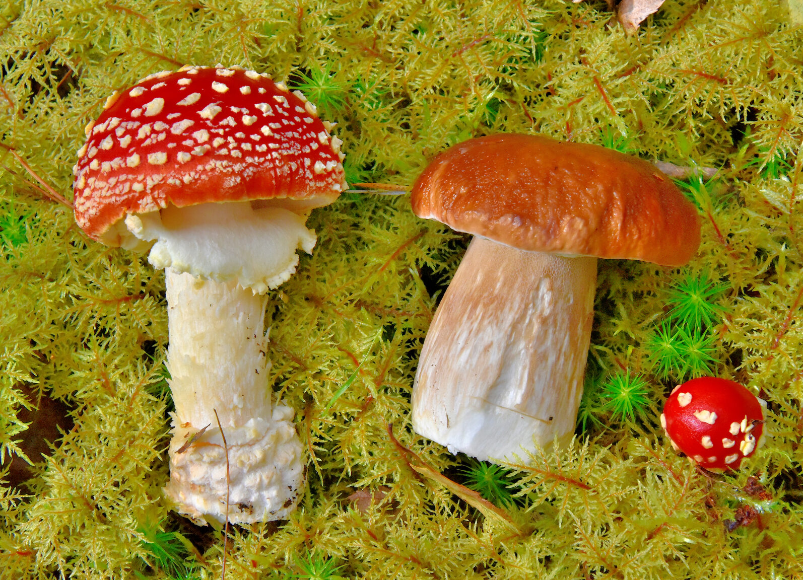 Valokuvaaja: Reijo Juurinen