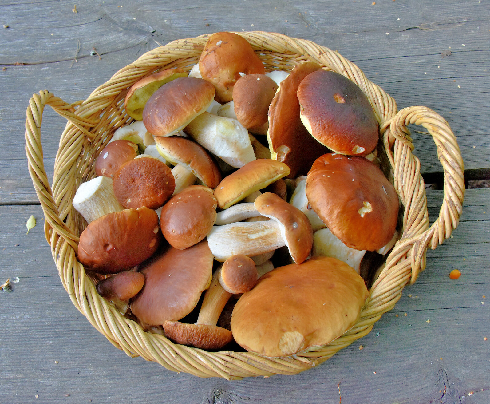 Valokuvaaja: Reijo Juurinen