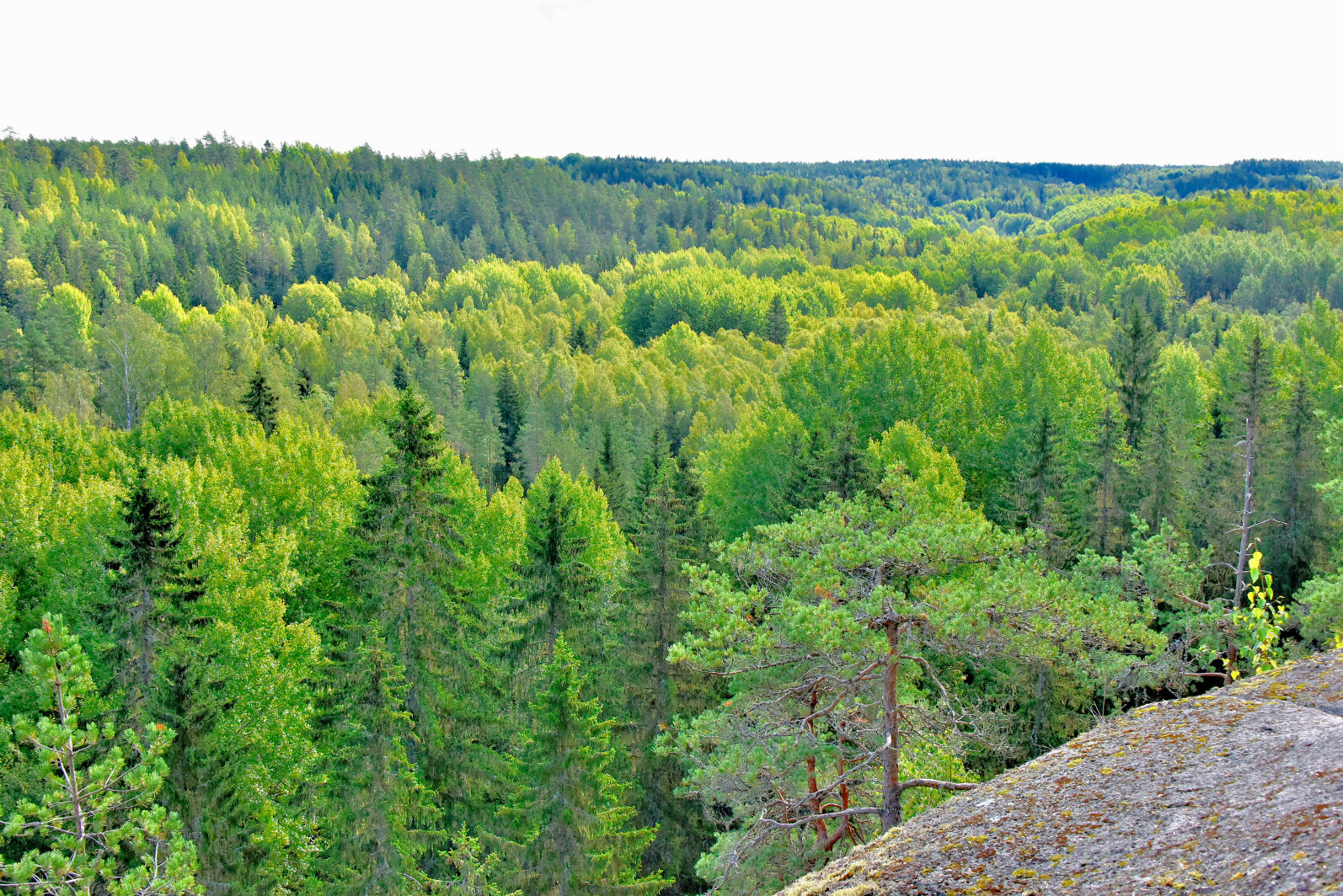 Valokuvaaja: Reijo Juurinen