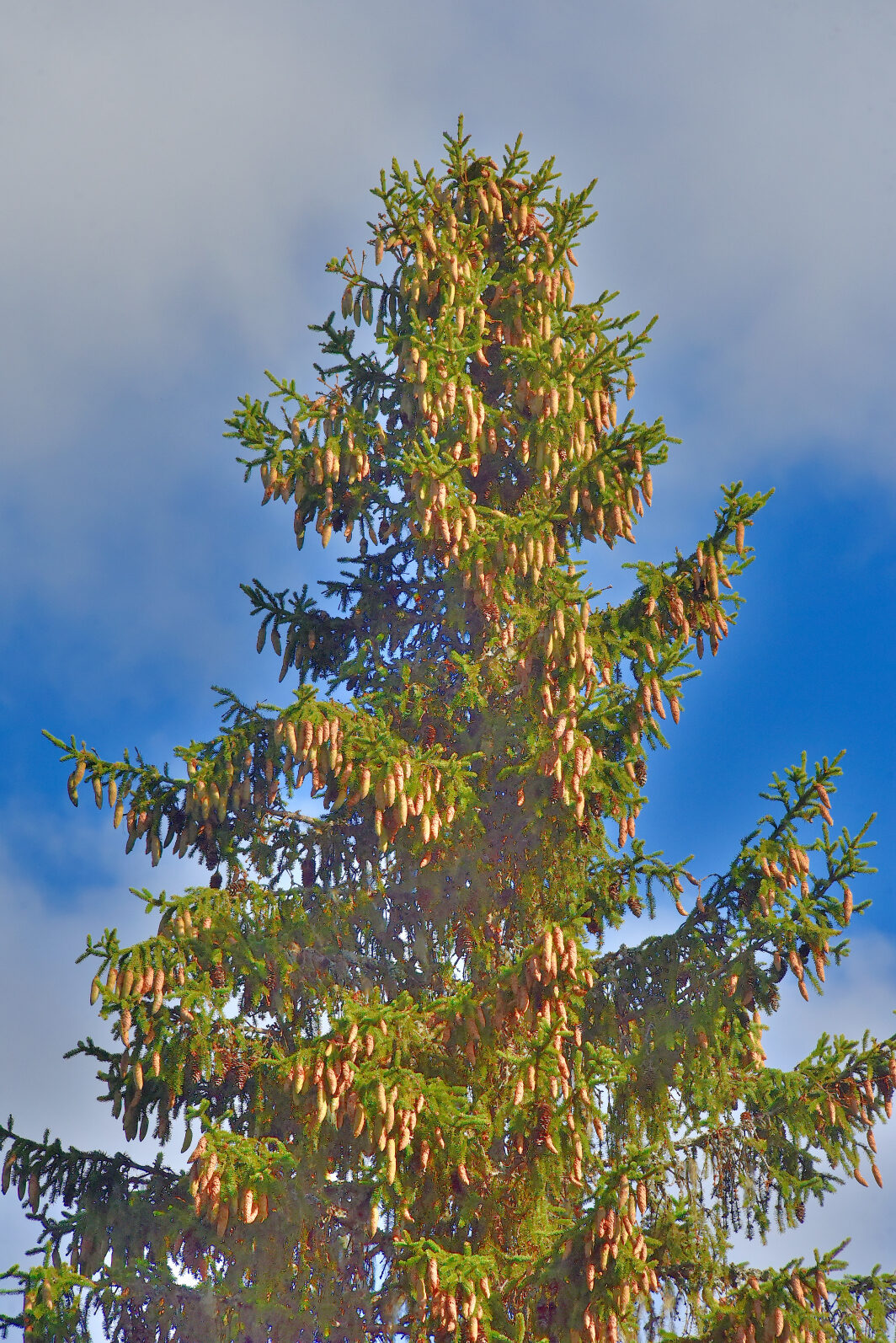 Valokuvaaja: Reijo Juurinen