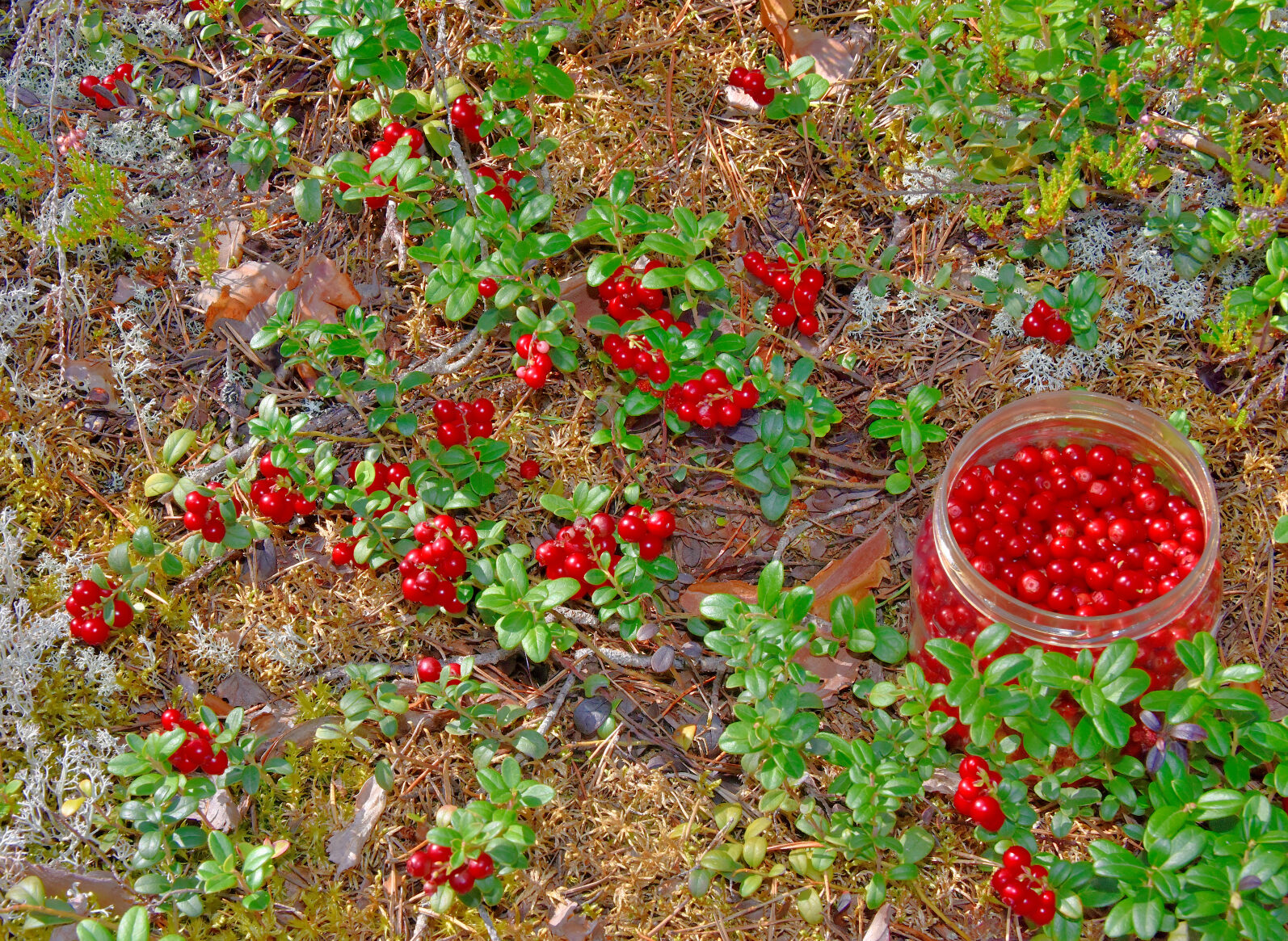 Valokuvaaja: Reijo Juurinen