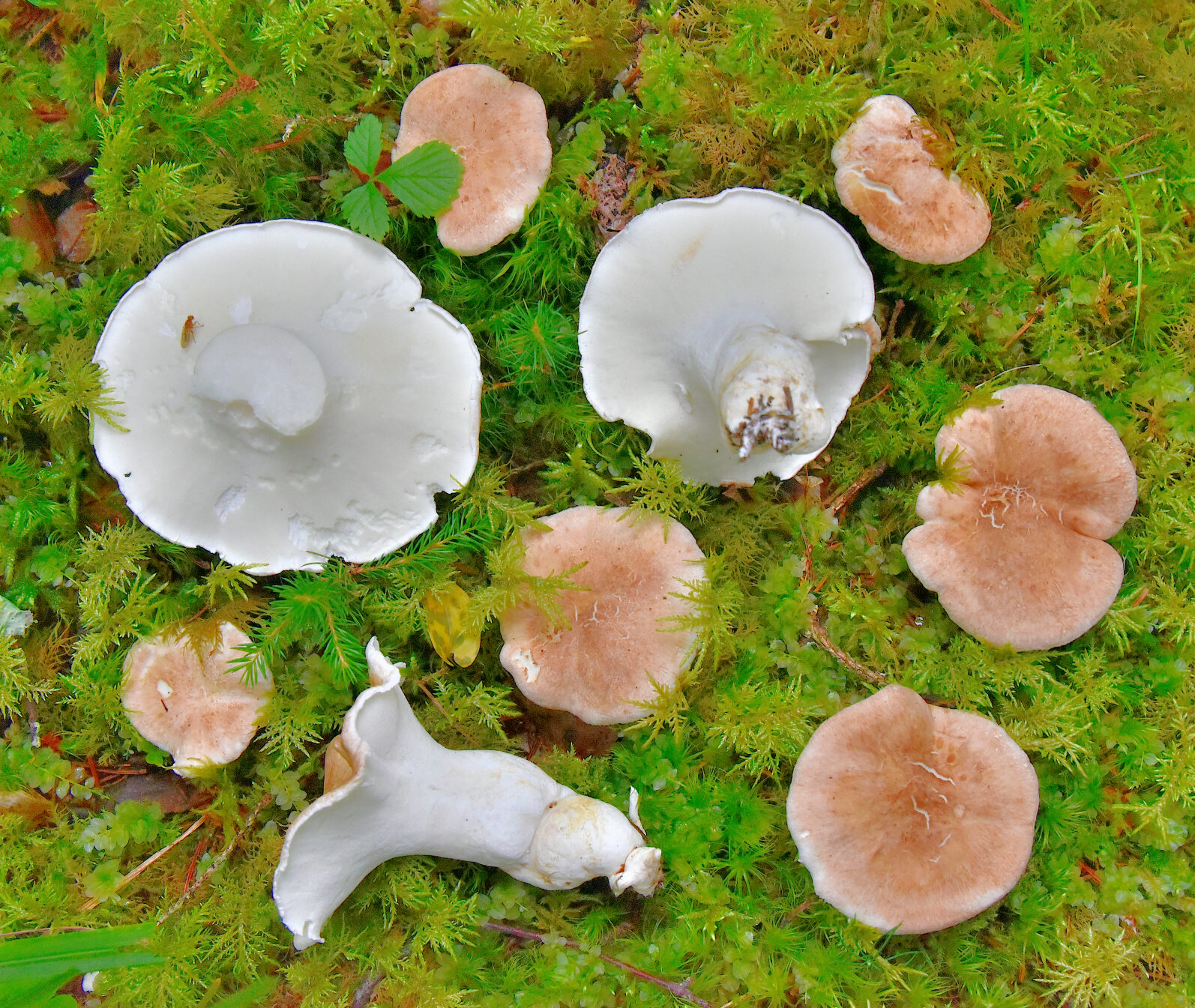 Valokuvaaja: Reijo Juurinen