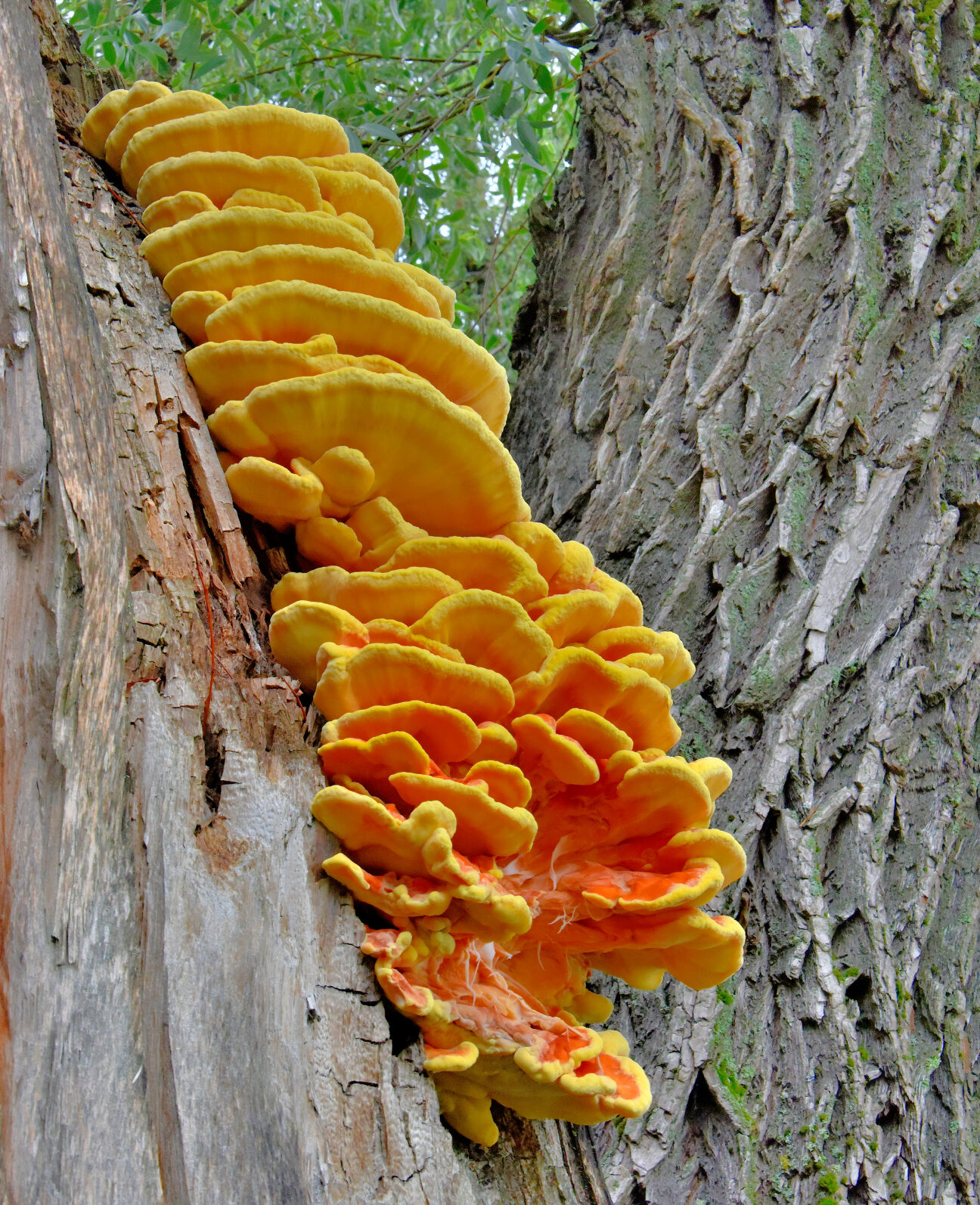 Valokuvaaja: Reijo Juurinen