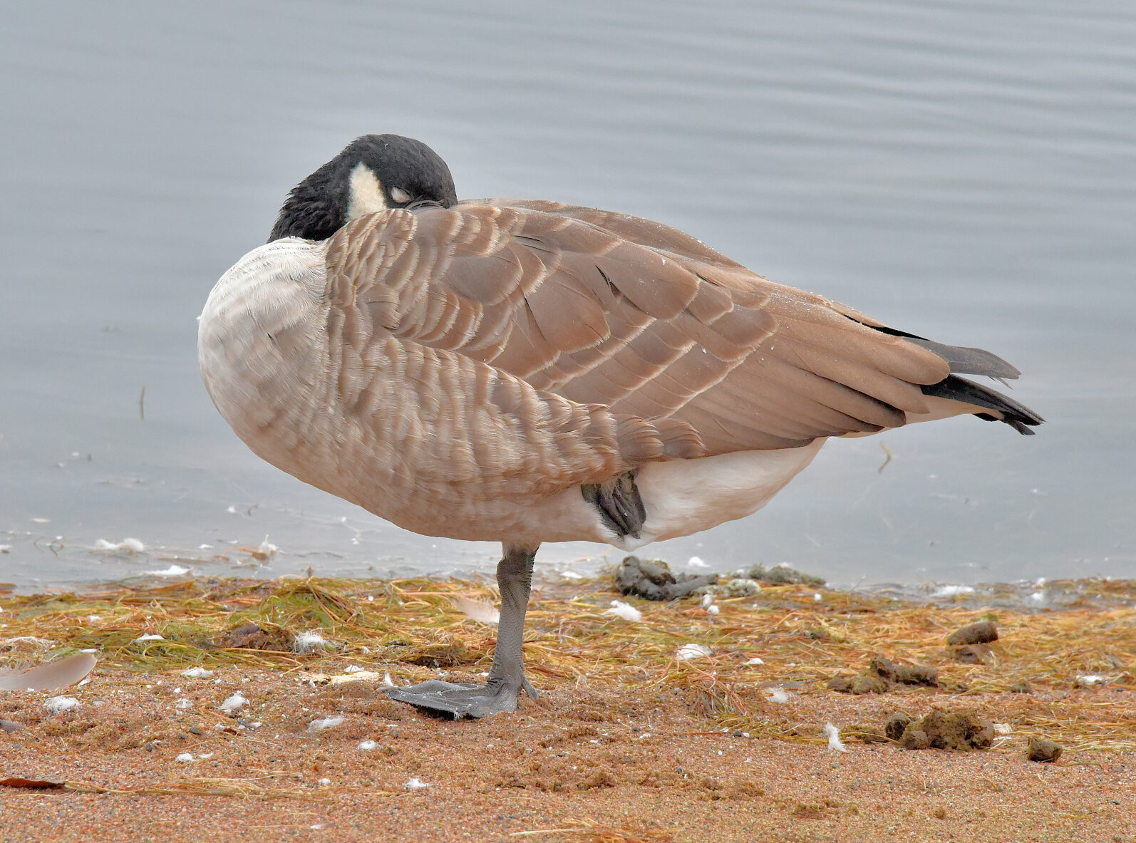 Valokuvaaja: Reijo Juurinen