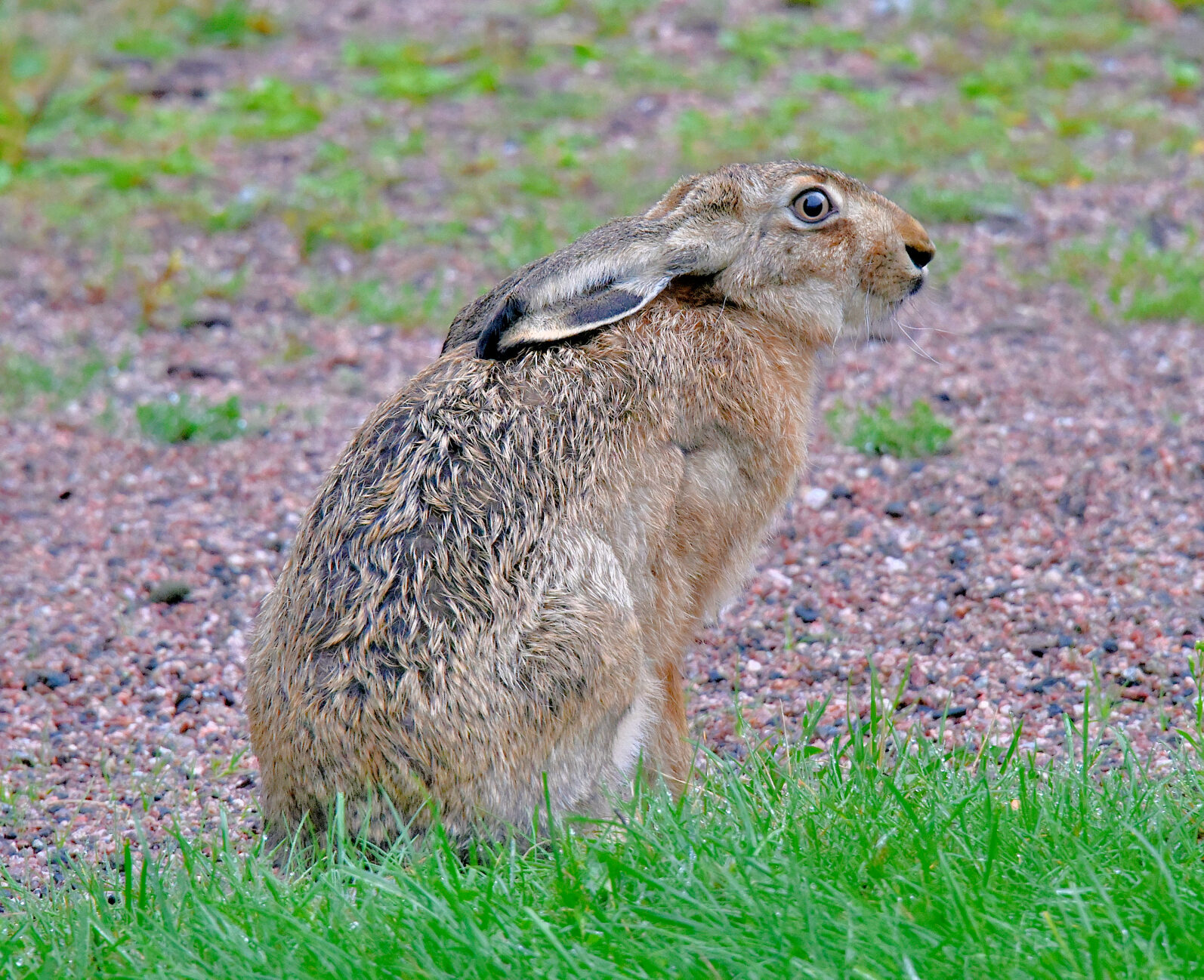 Valokuvaaja: Reijo Juurinen