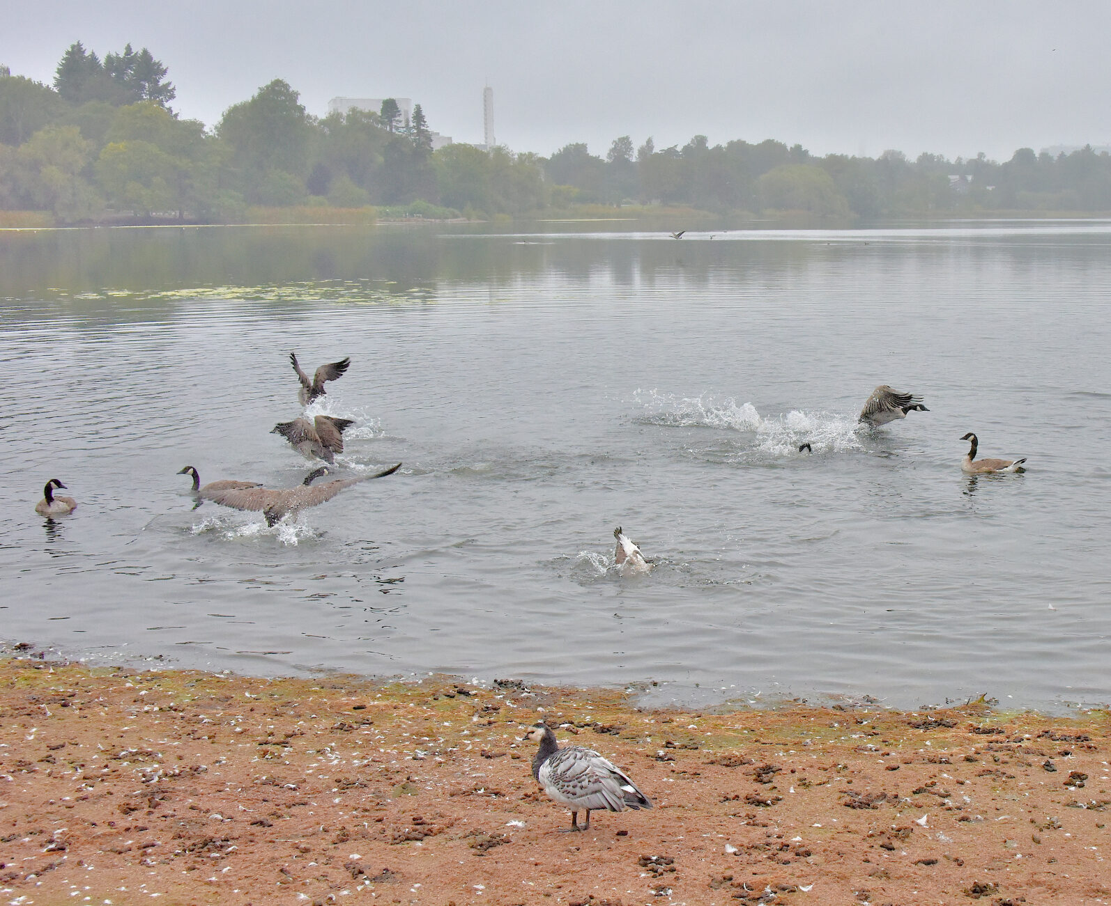 Valokuvaaja: Reijo Juurinen Valokuvaaja: Reijo Juurinen
