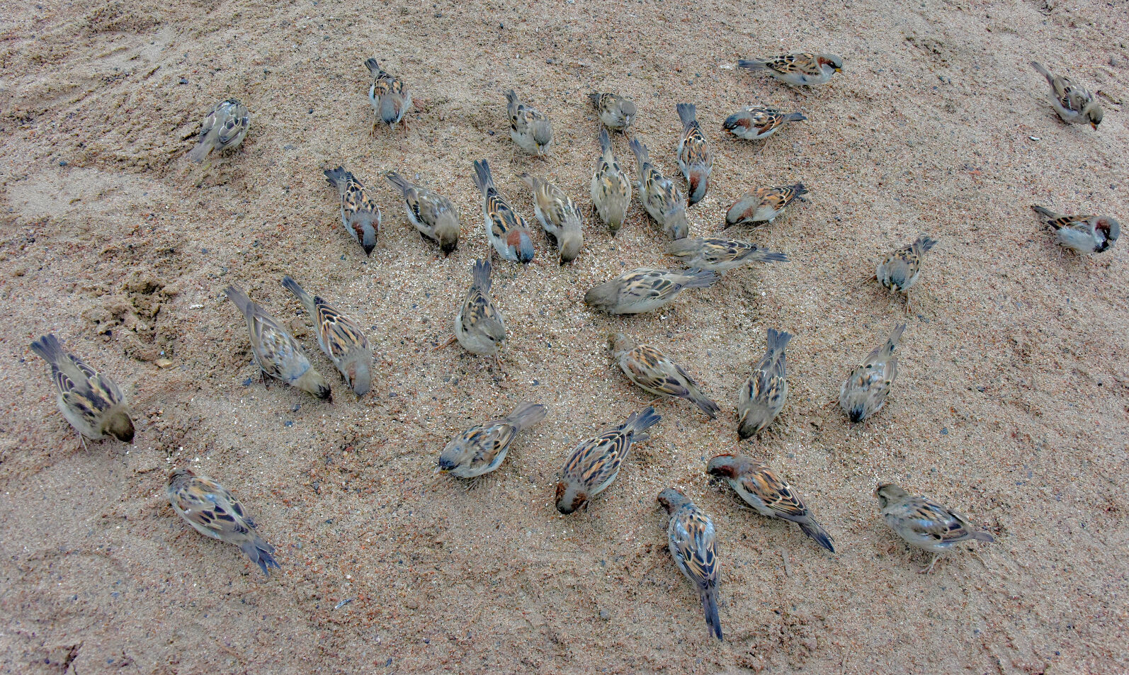 Valokuvaaja: Reijo Juurinen