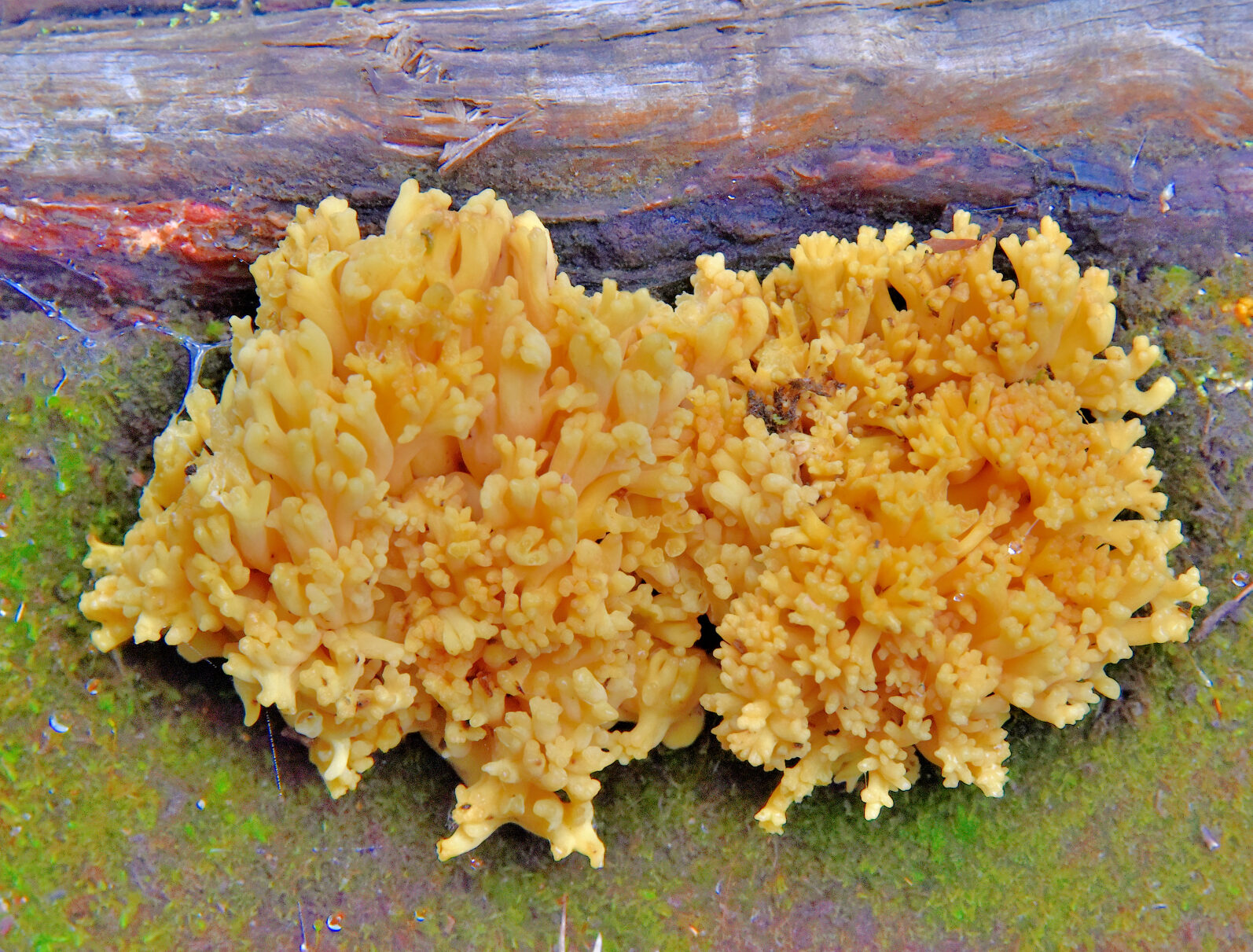 Valokuvaaja: Reijo Juurinen