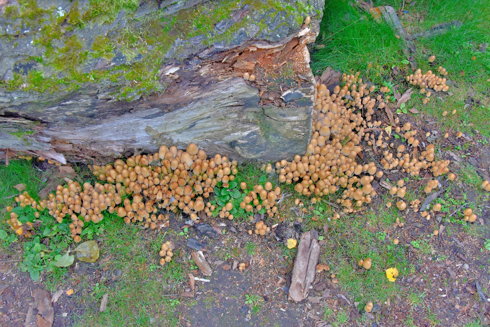 Valokuvaaja: Reijo Juurinen