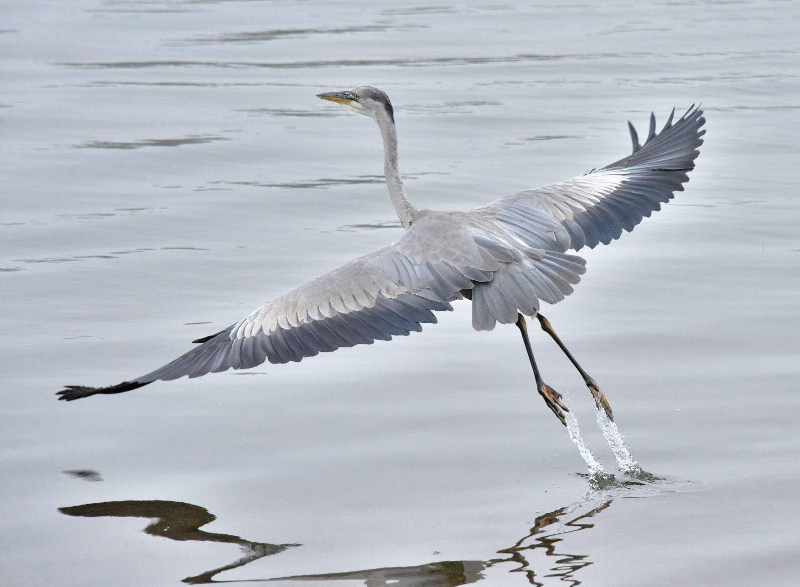 Valokuvaaja: Reijo Juurinen Valokuvaaja: Reijo Juurinen