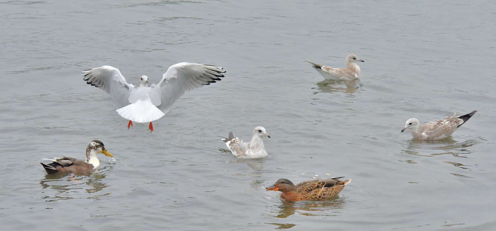 Valokuvaaja: Reijo Juurinen
