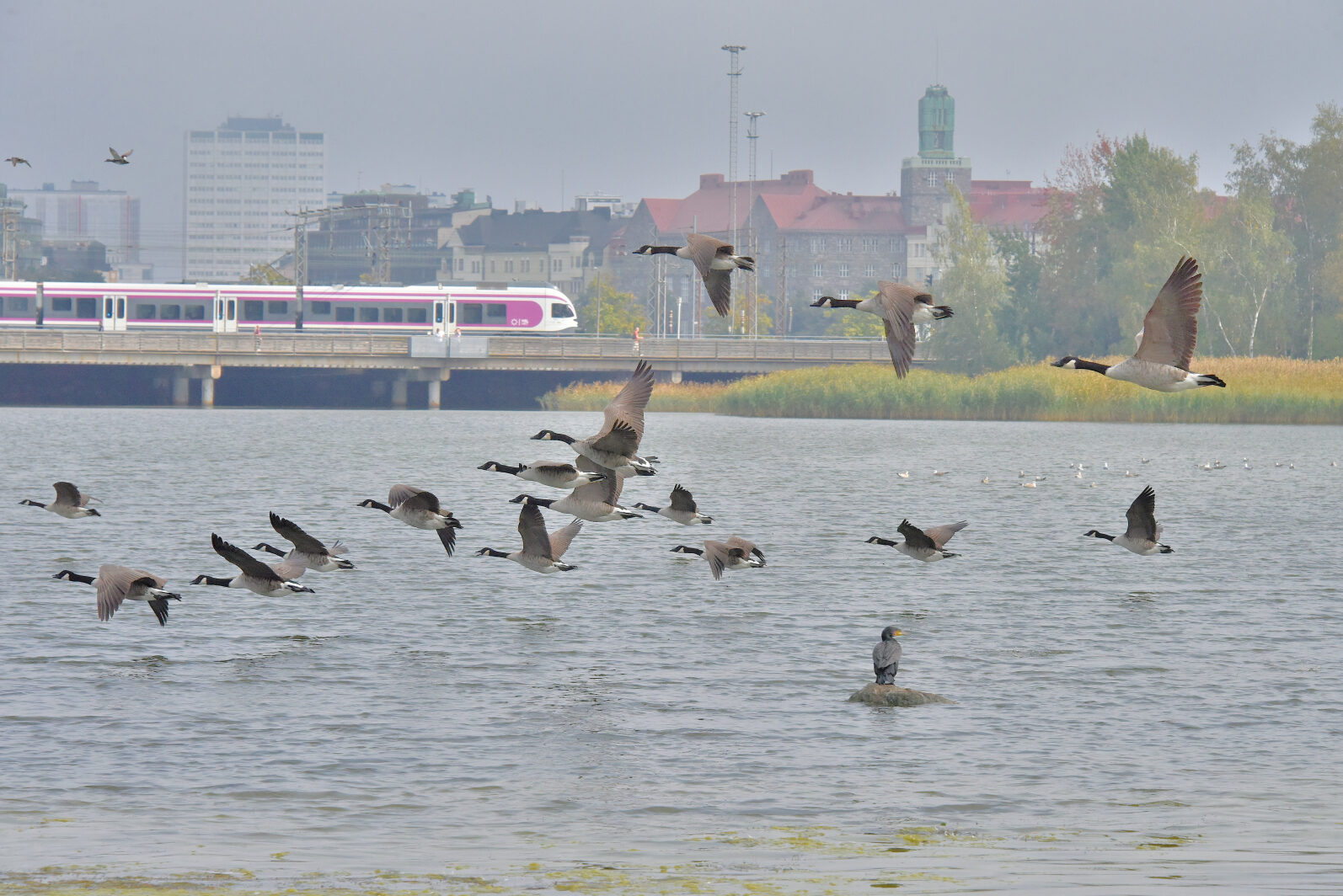 Valokuvaaja: Reijo Juurinen