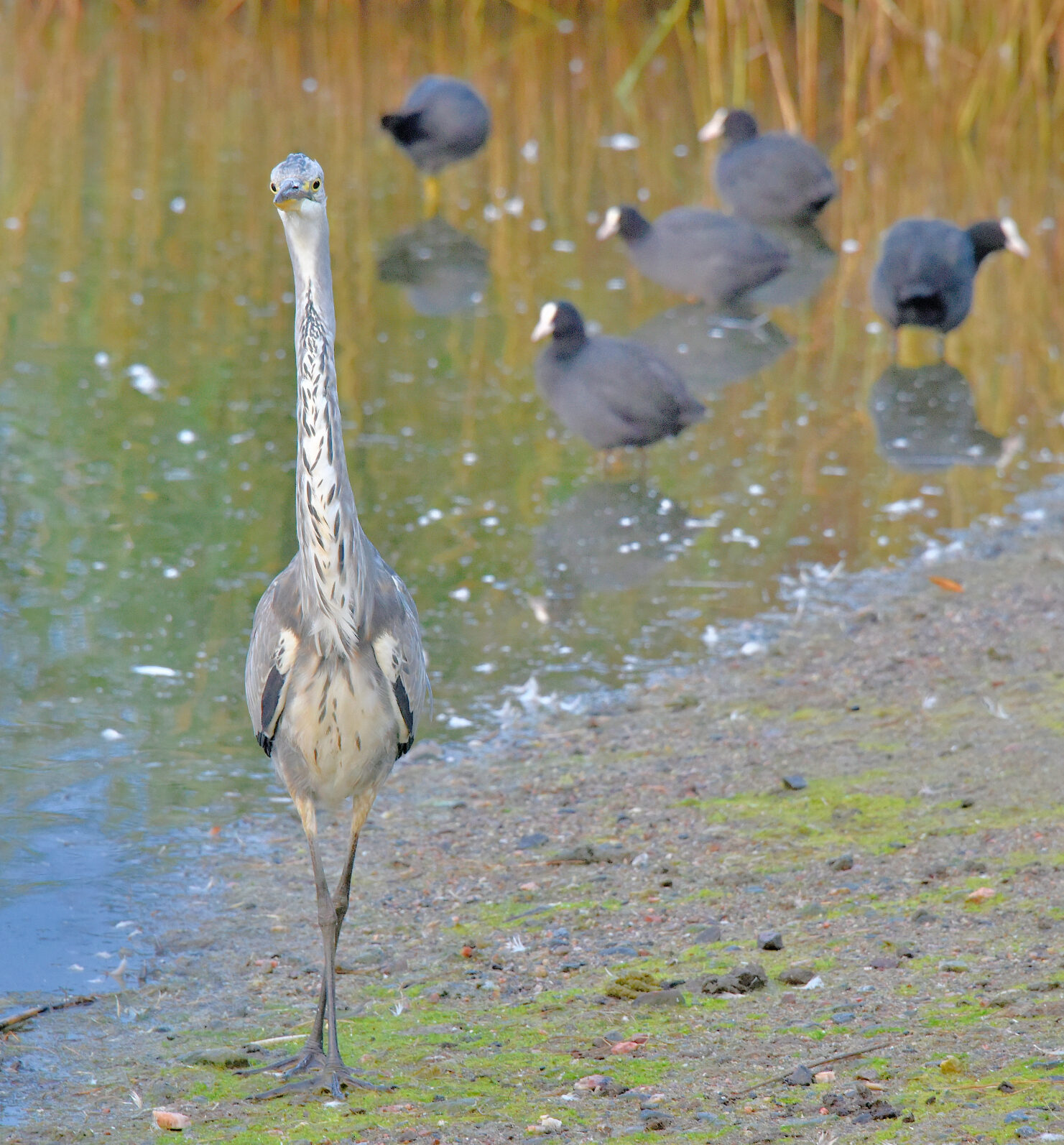 Valokuvaaja: Reijo Juurinen