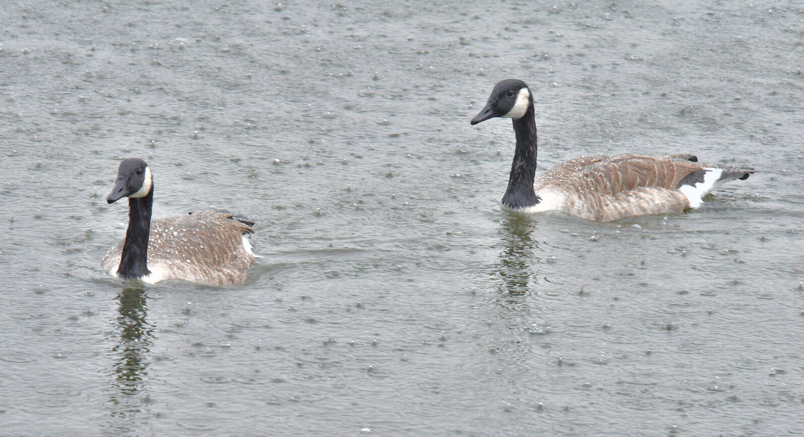 Valokuvaaja: Reijo Juurinen