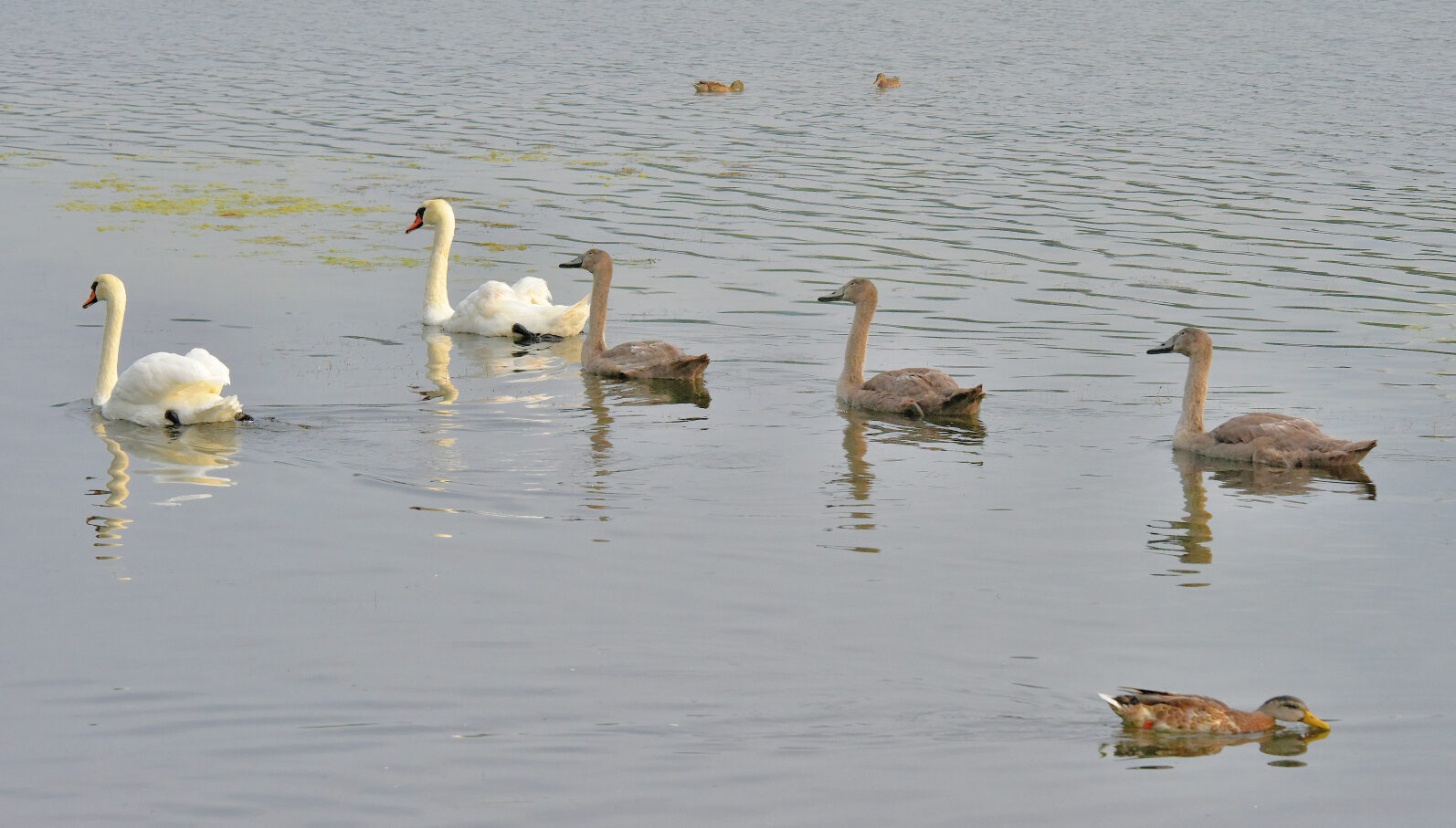 Valokuvaaja: Reijo Juurinen Valokuvaaja: Reijo Juurinen