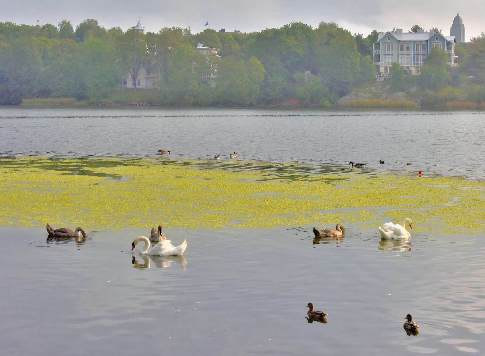 Valokuvaaja: Reijo Juurinen Valokuvaaja: Reijo Juurinen