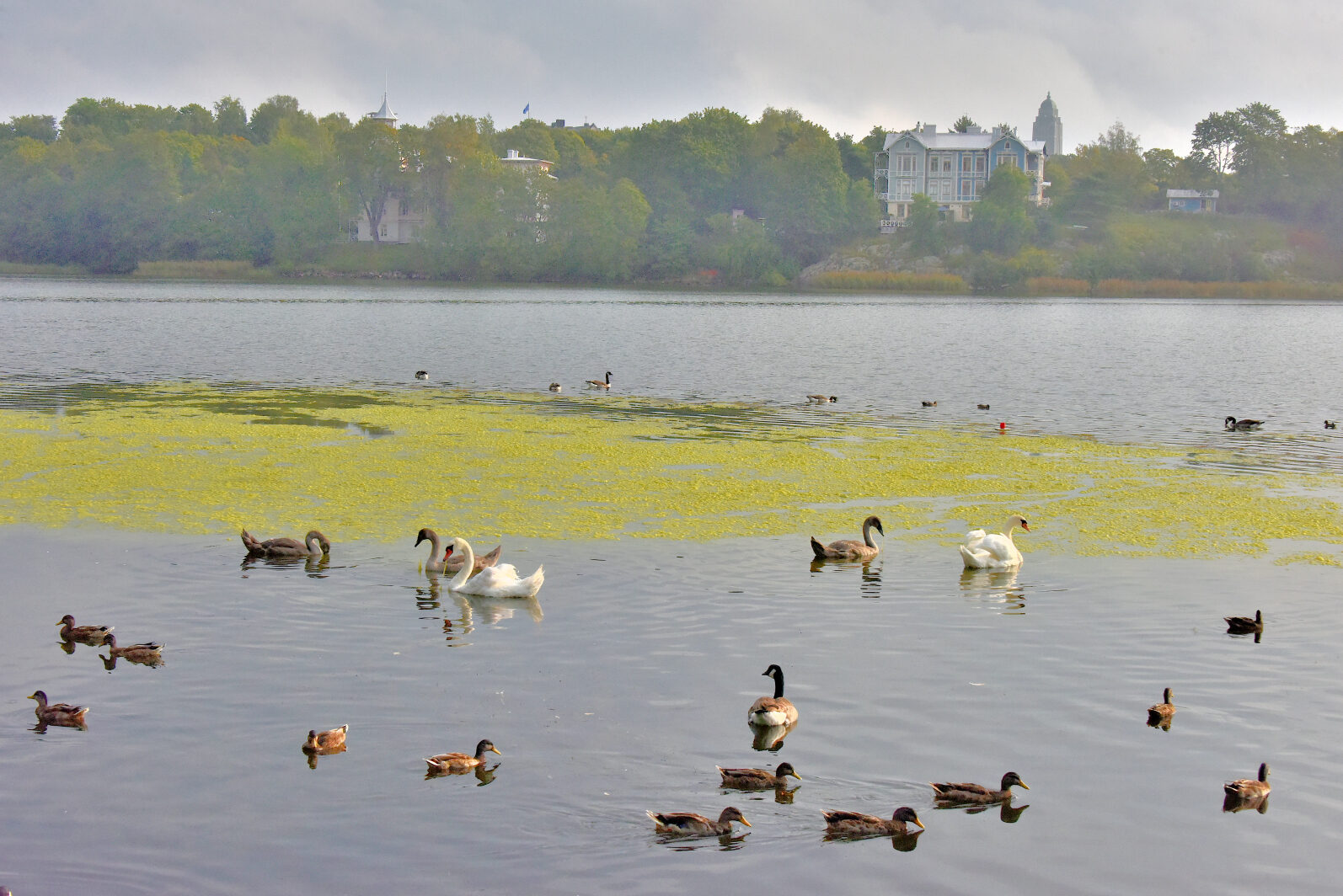 Valokuvaaja: Reijo Juurinen