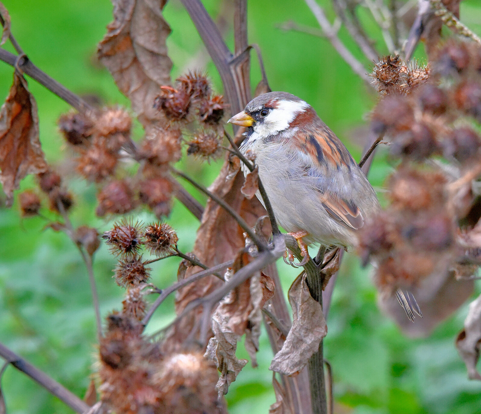 Valokuvaaja: Reijo Juurinen Valokuvaaja: Reijo Juurinen