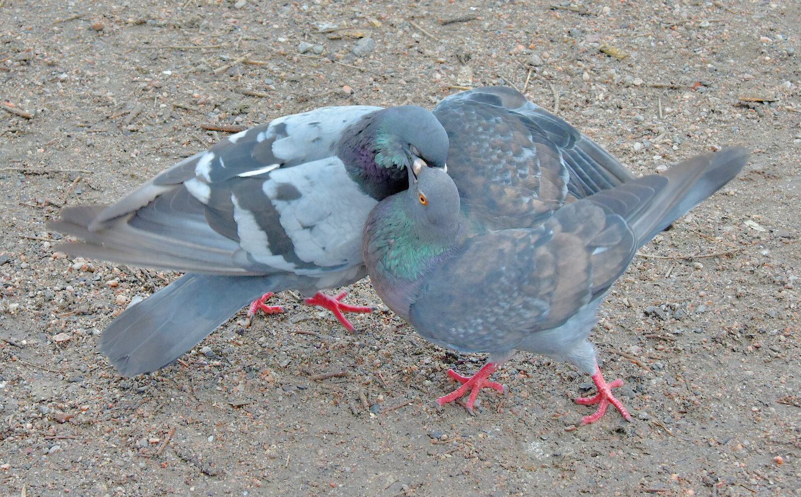 Valokuvaaja: Reijo Juurinen