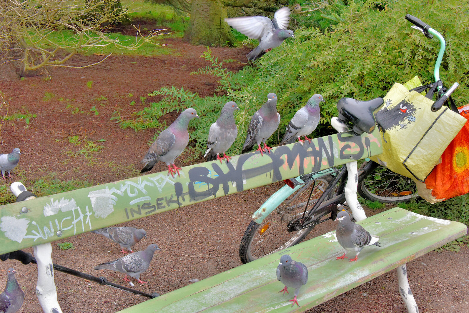 Valokuvaaja: Reijo Juurinen