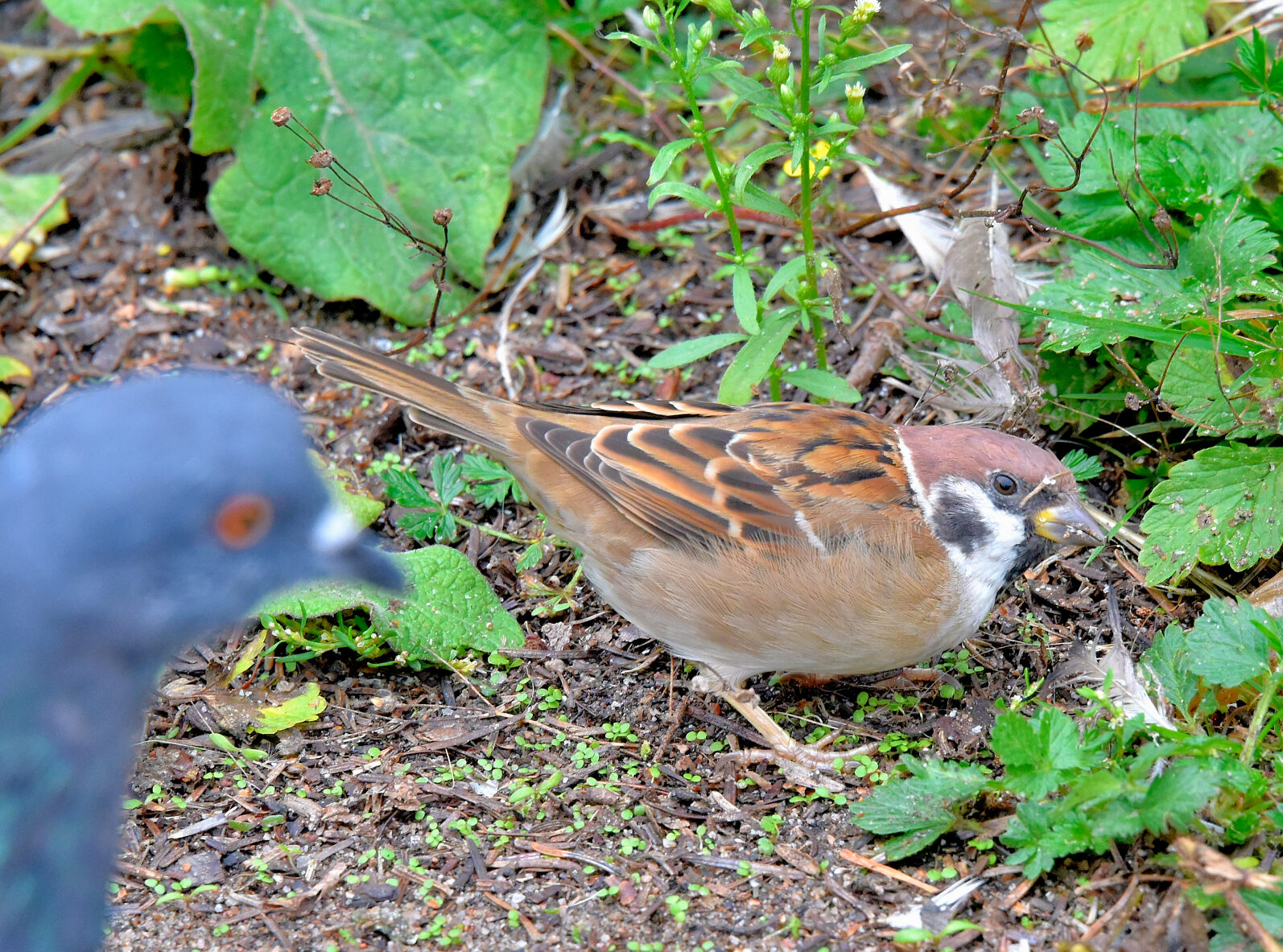 Valokuvaaja: Reijo Juurinen